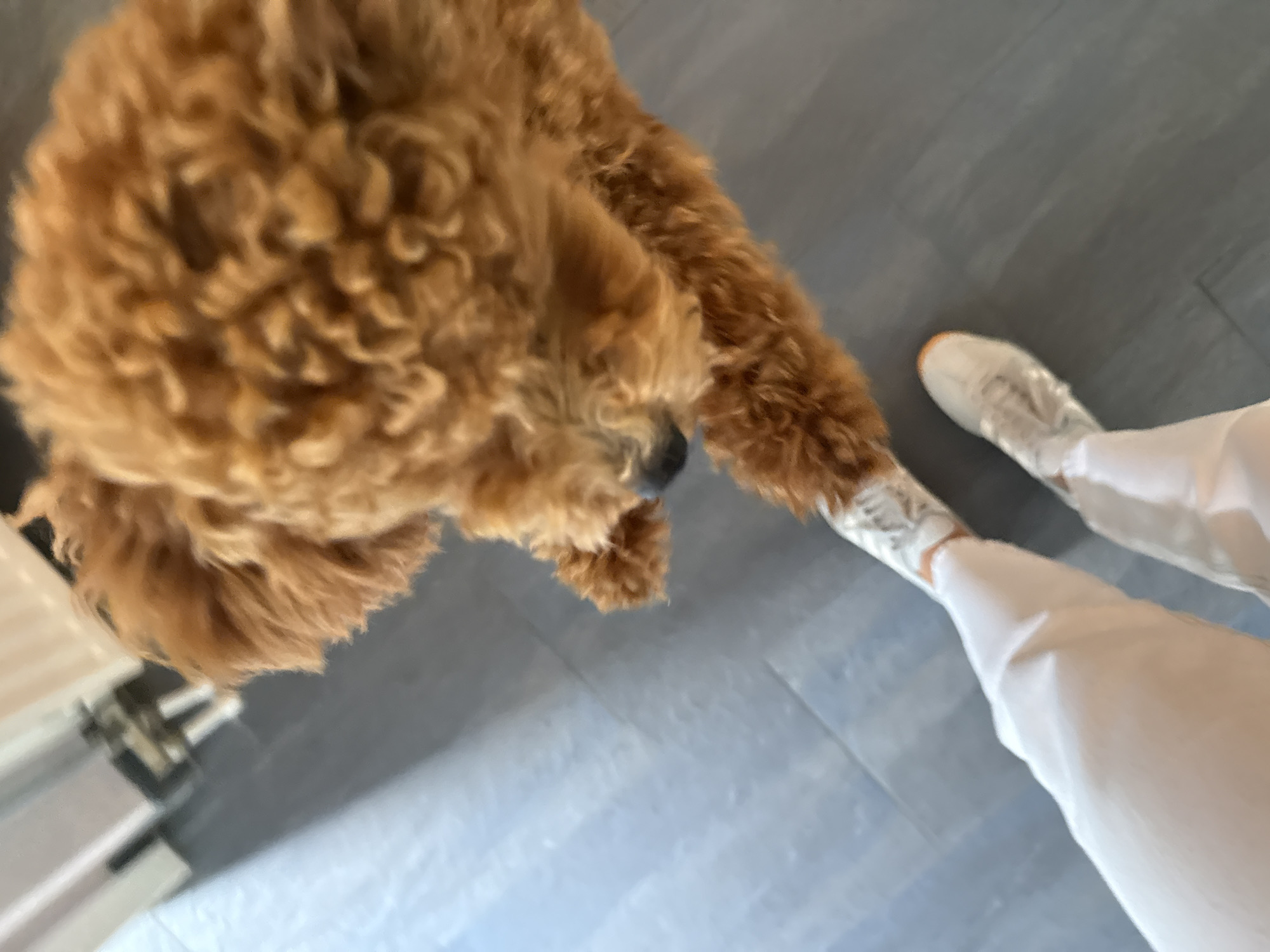 White sneakers with orange accents on a gray floor in Marum