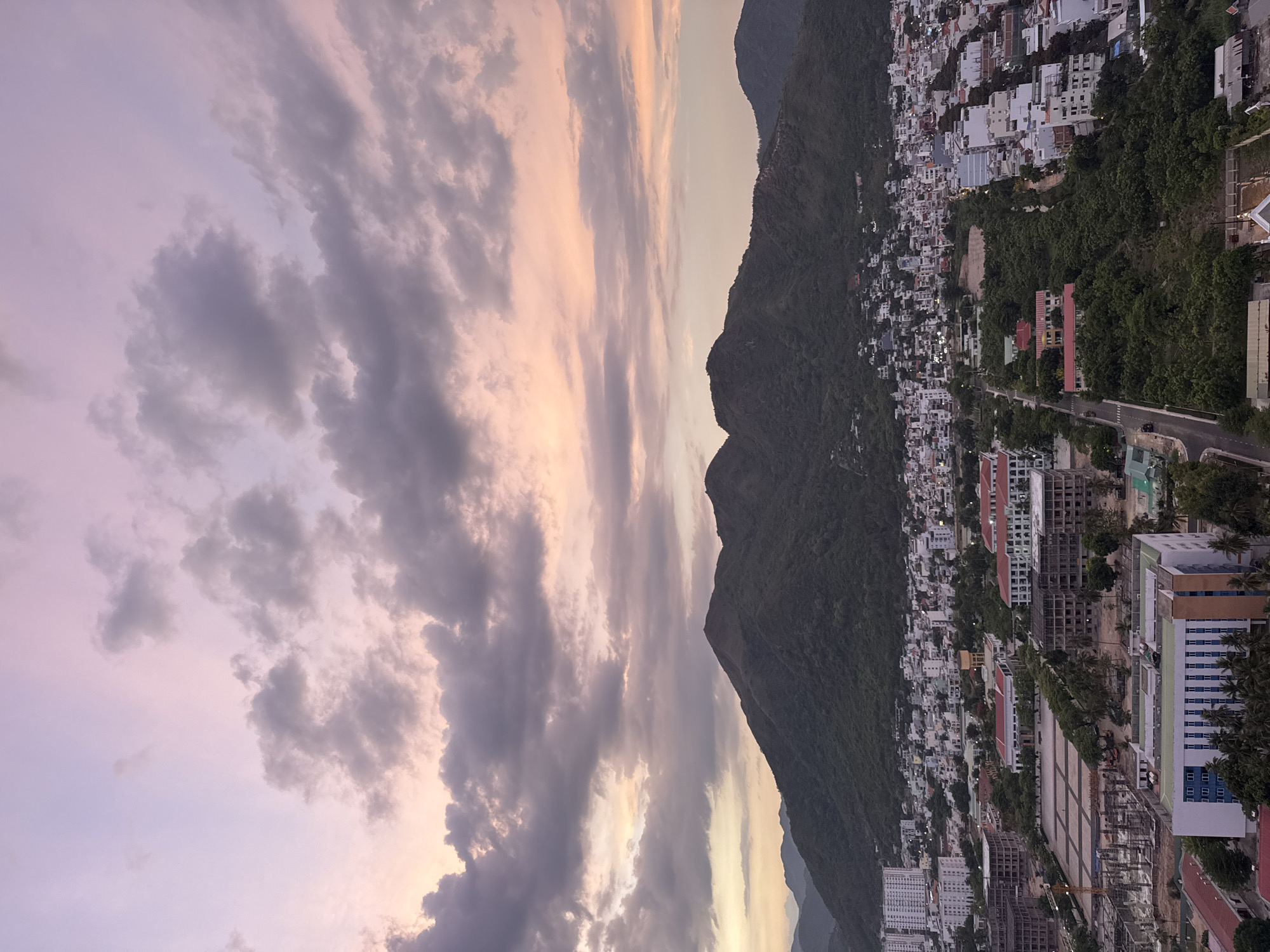 Dusk city views and flower bouquets from a coastal mountain town