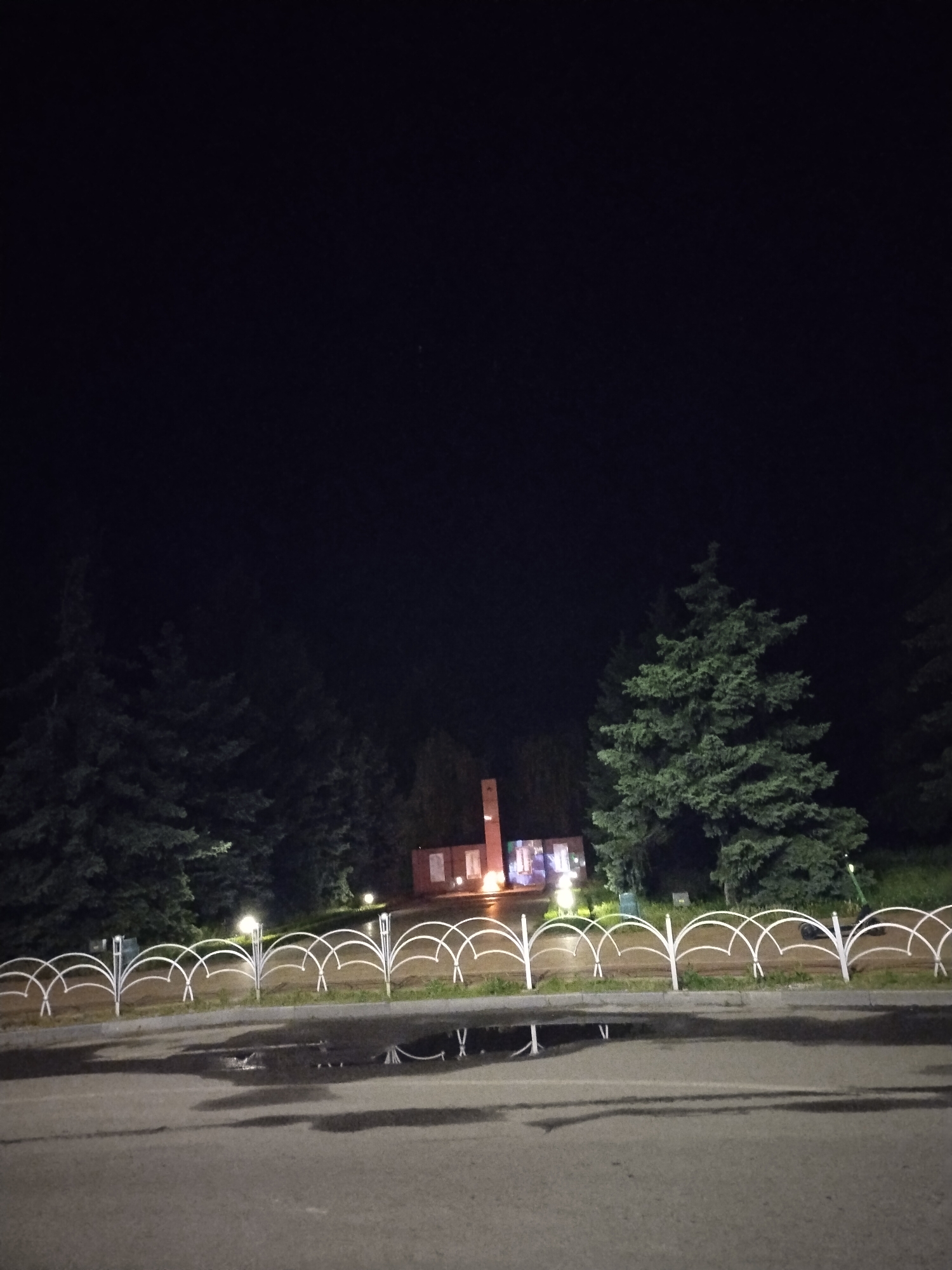 Evening dog walk documented through Horishni Plavni park, Ukraine