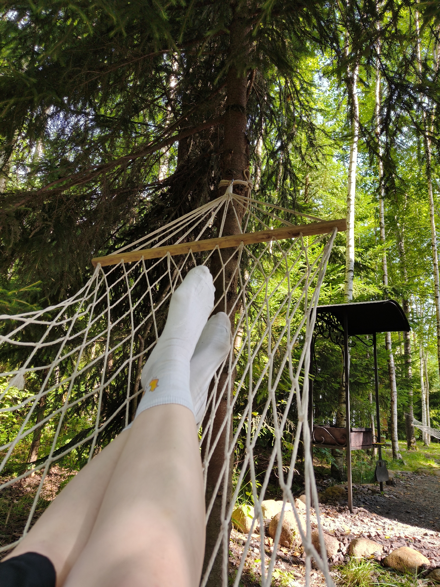 Hammock strung between trees in a Khittolovo forest