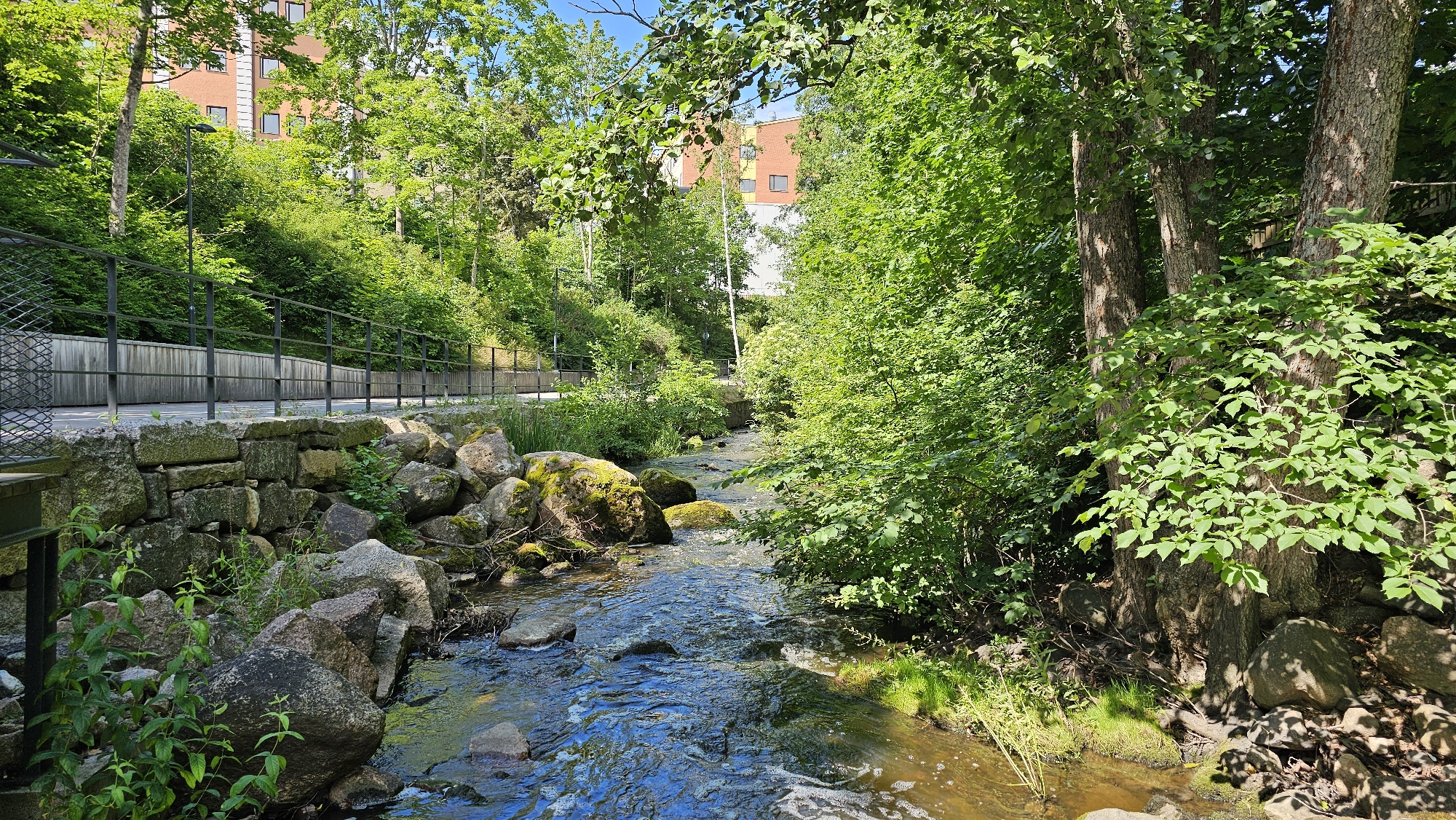 Linköping streamside path and park on a summer afternoon