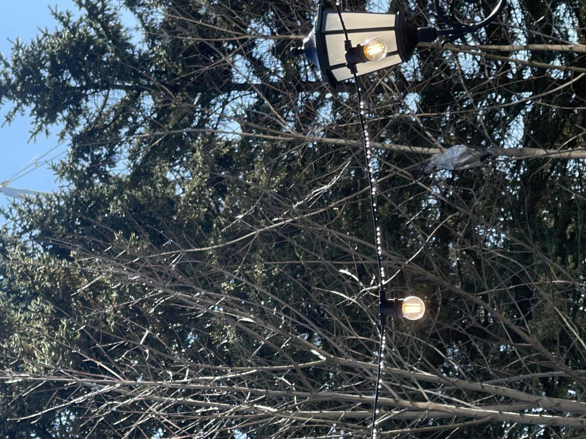 Outdoor lighting display spotted in Svetlogorsk park setting