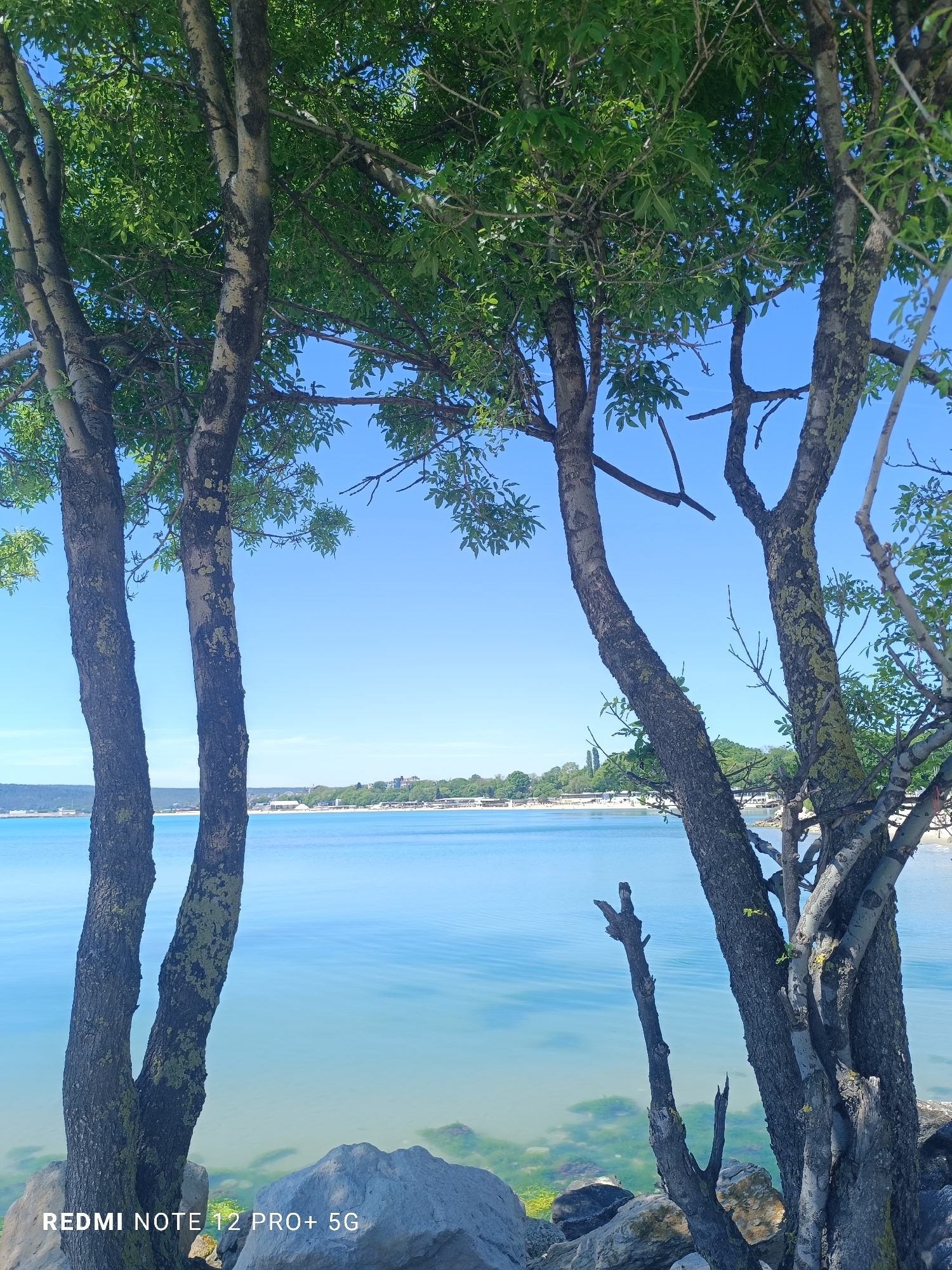Quiet morning moments captured along Varna's Black Sea coast