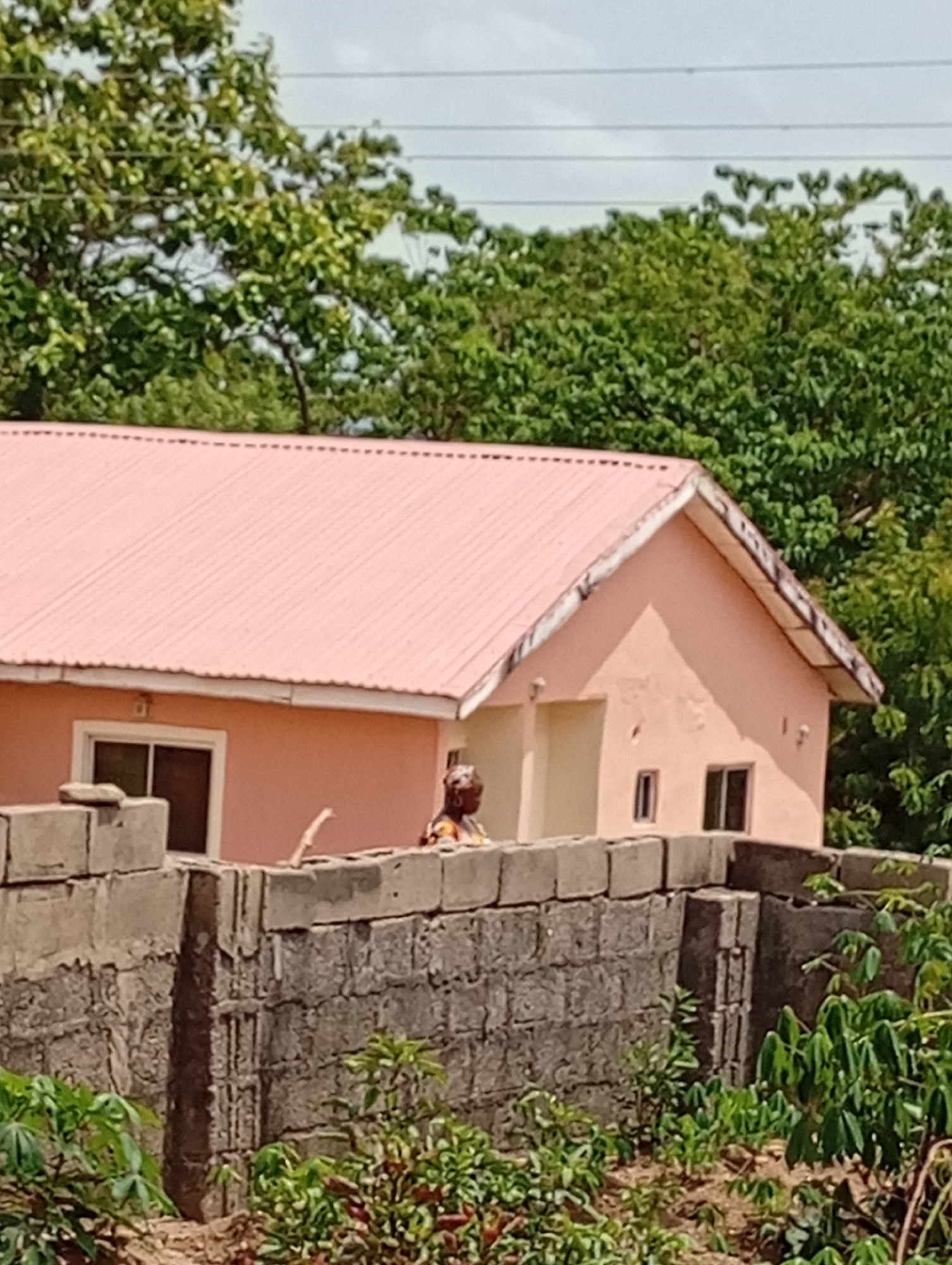 Morning life documented around pink-roofed houses in rural community