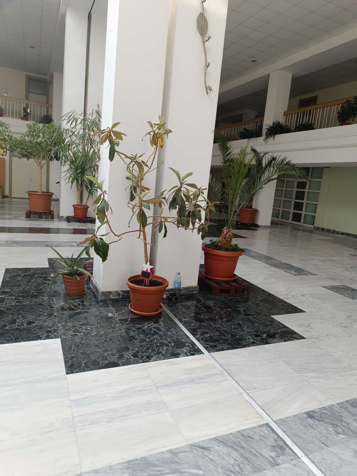 Indoor building scenes documented in Sofia including lobby and classroom