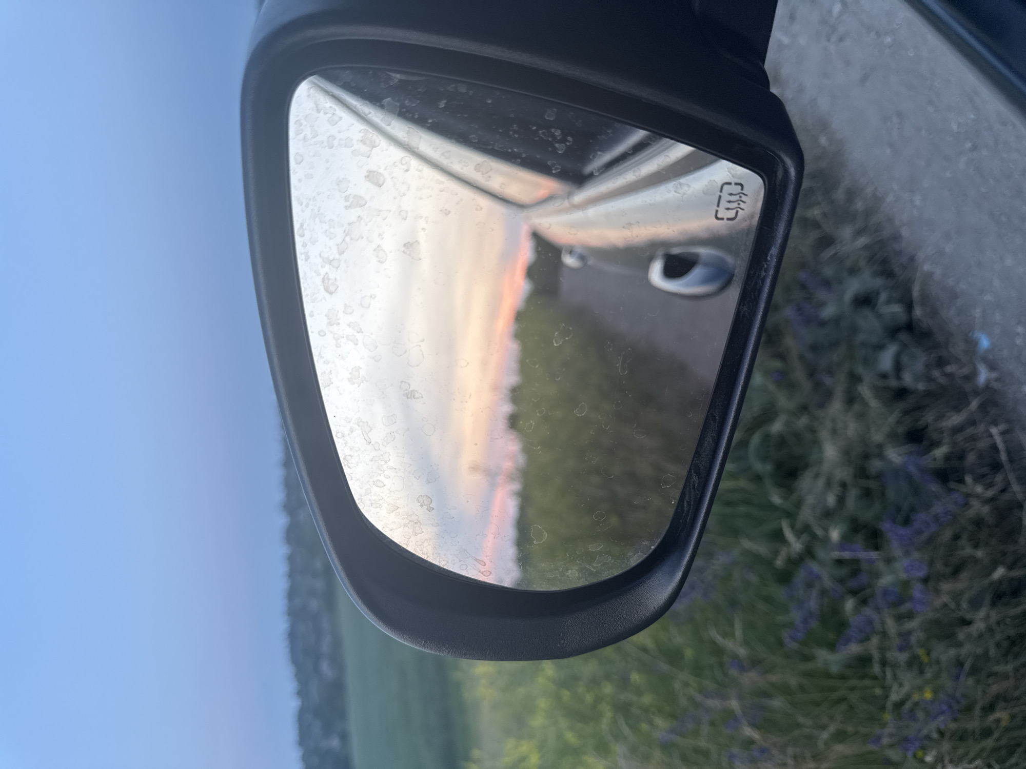 Twilight drive through open fields with horses and wildflowers