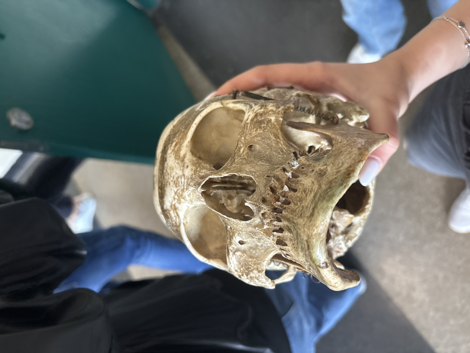 Science students study anatomy with microscopes in Bulgaria classroom