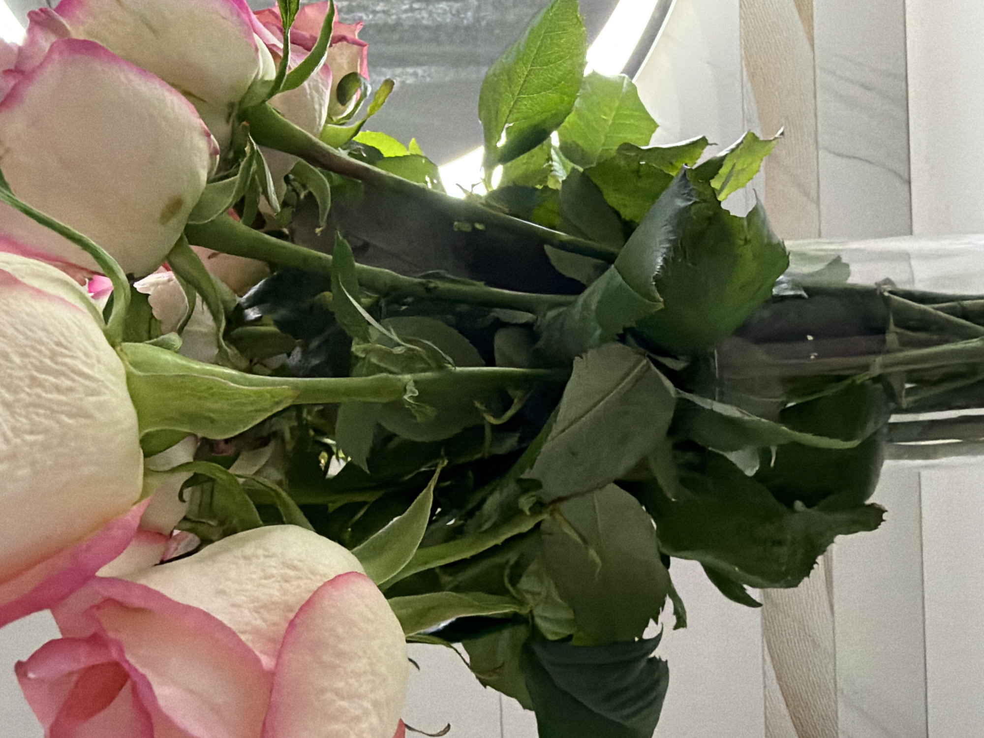 Woman documents flower gift with bathroom selfies in Votkinsk