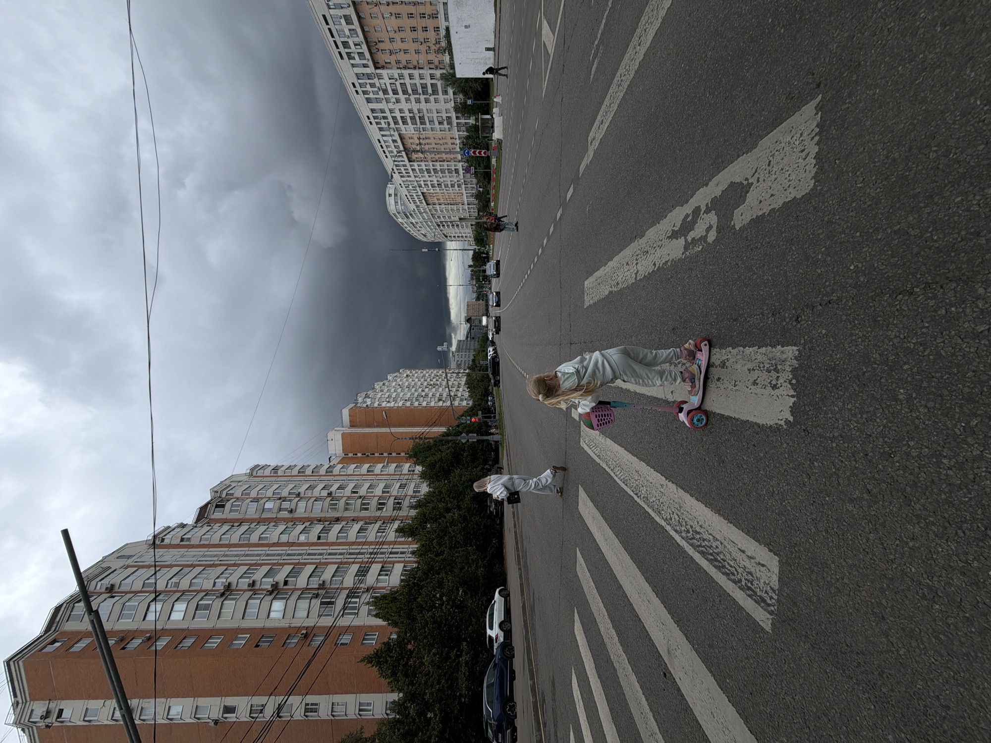 Quiet Moscow street moment: crosswalk and white flowers