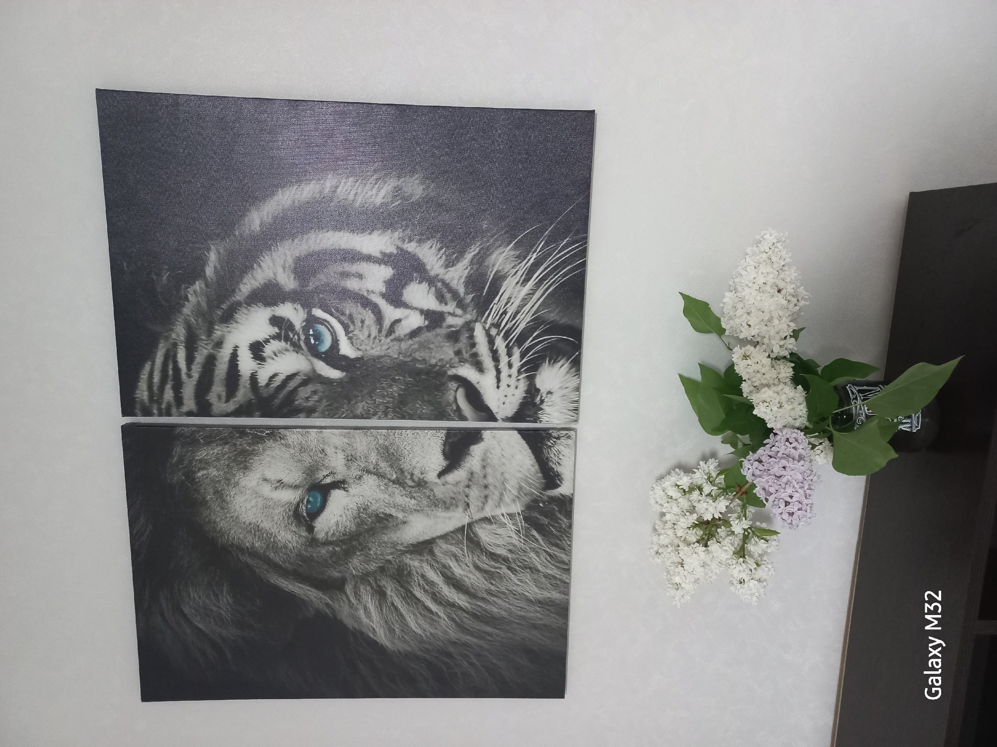 Indoor floral arrangement and tiger artwork documented in Volzhsky