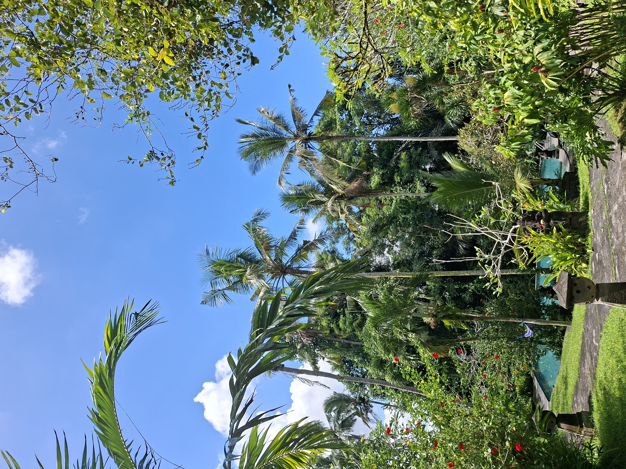 Tropical garden moments captured in Ubud, Indonesia
