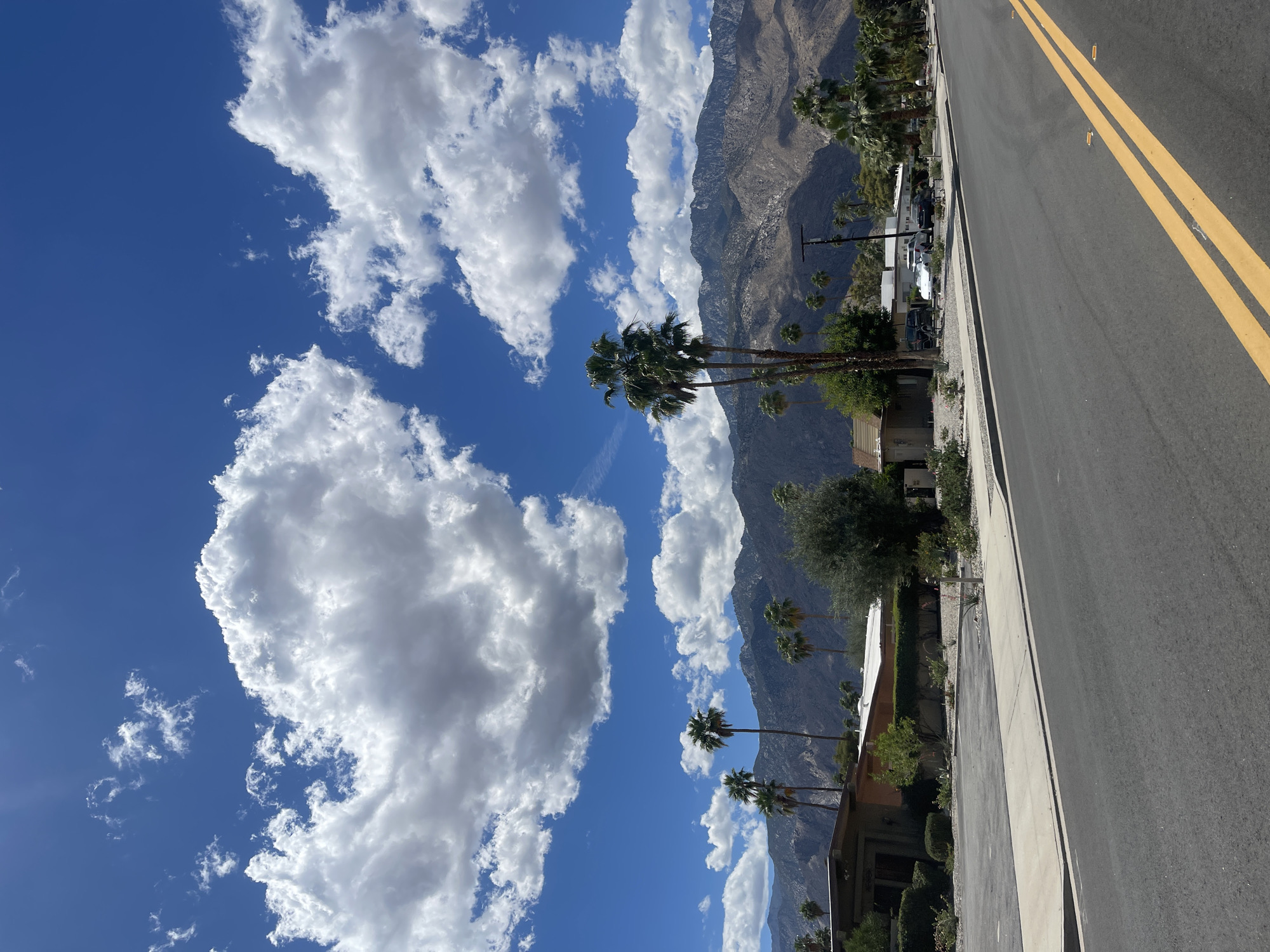 Palm Springs street scene documented Friday evening