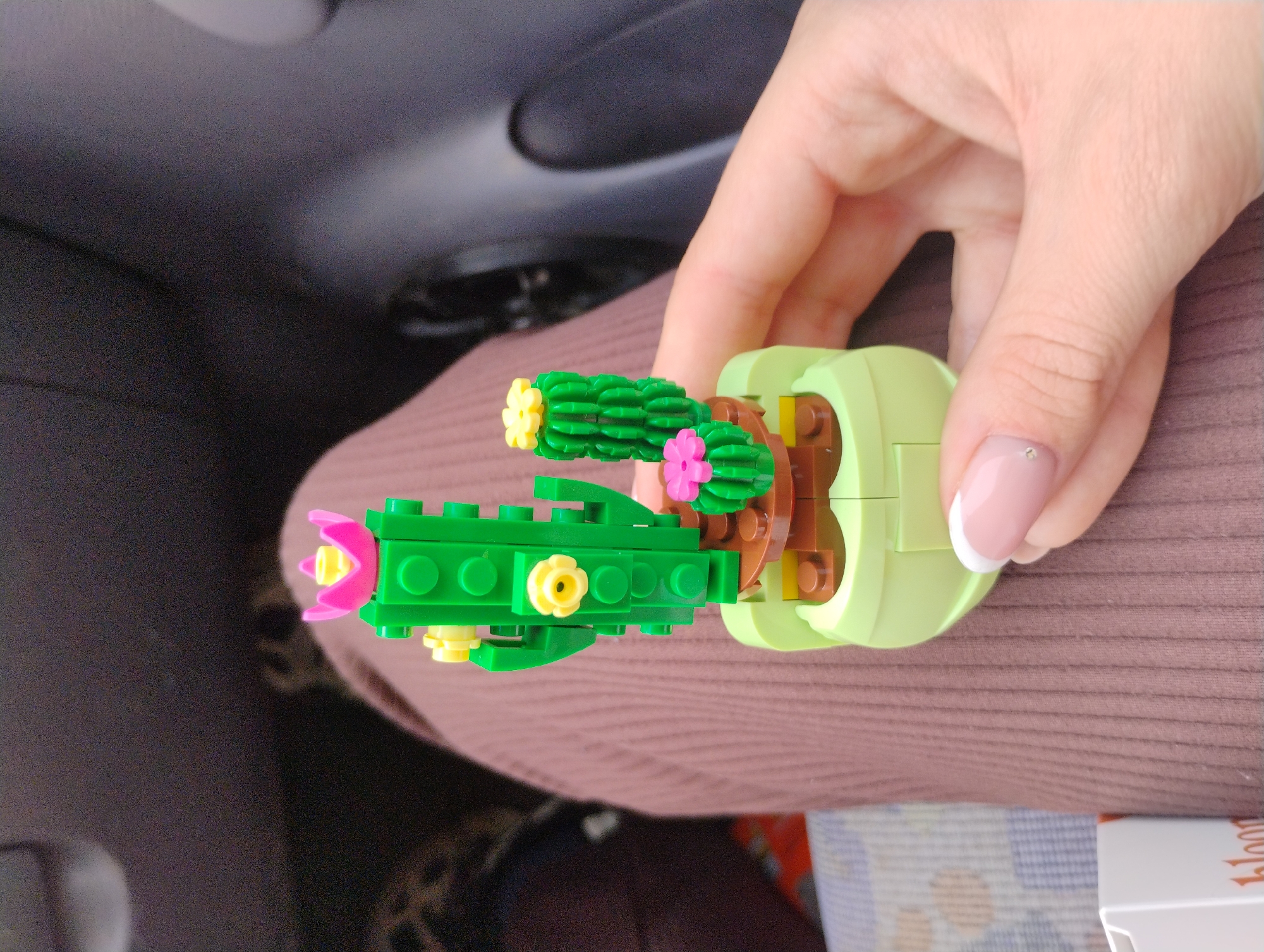 Residents show off novelty items in Dimitrovgrad