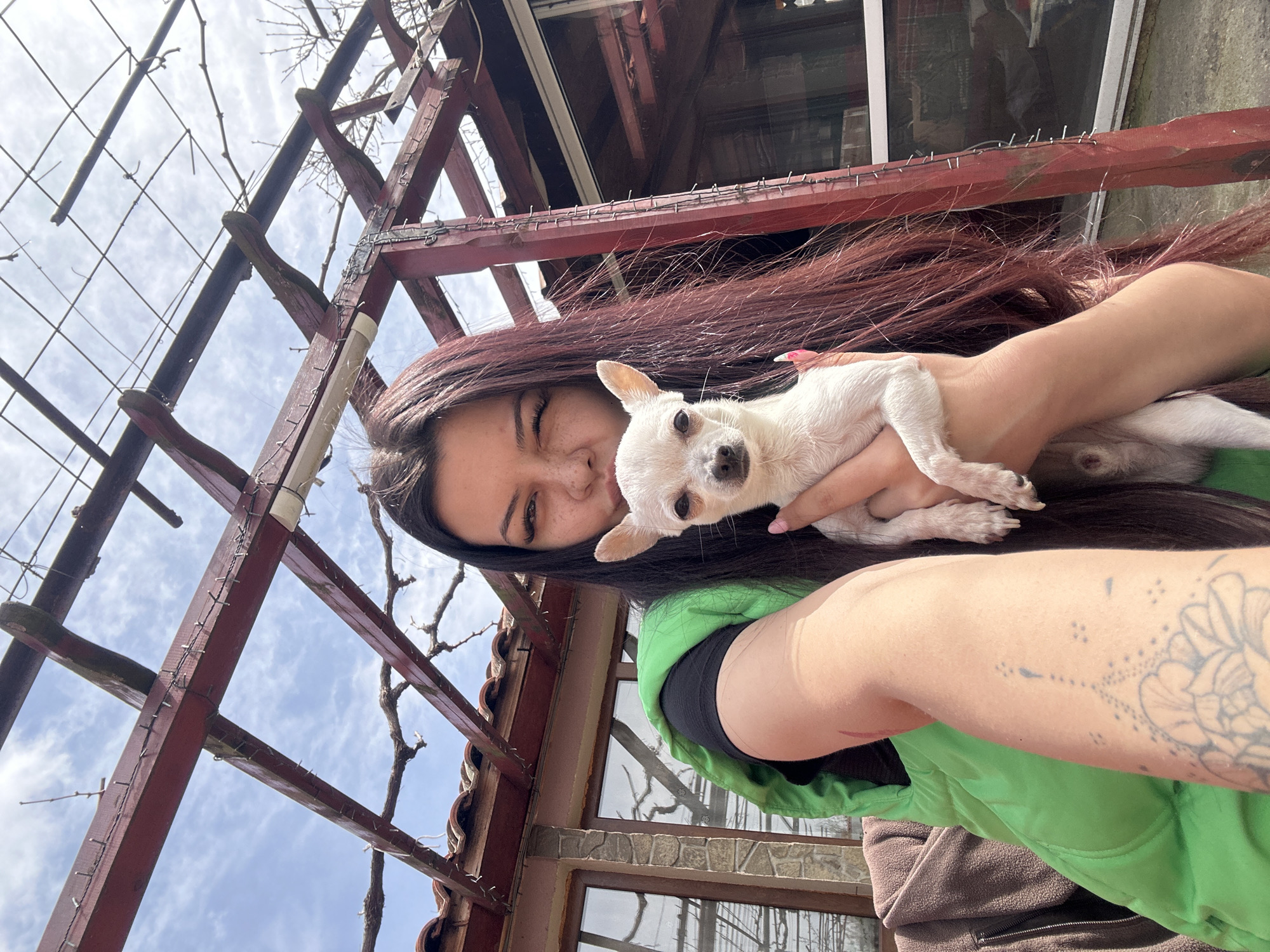 Woman photographed with white Chihuahua in Chubra, Bulgaria
