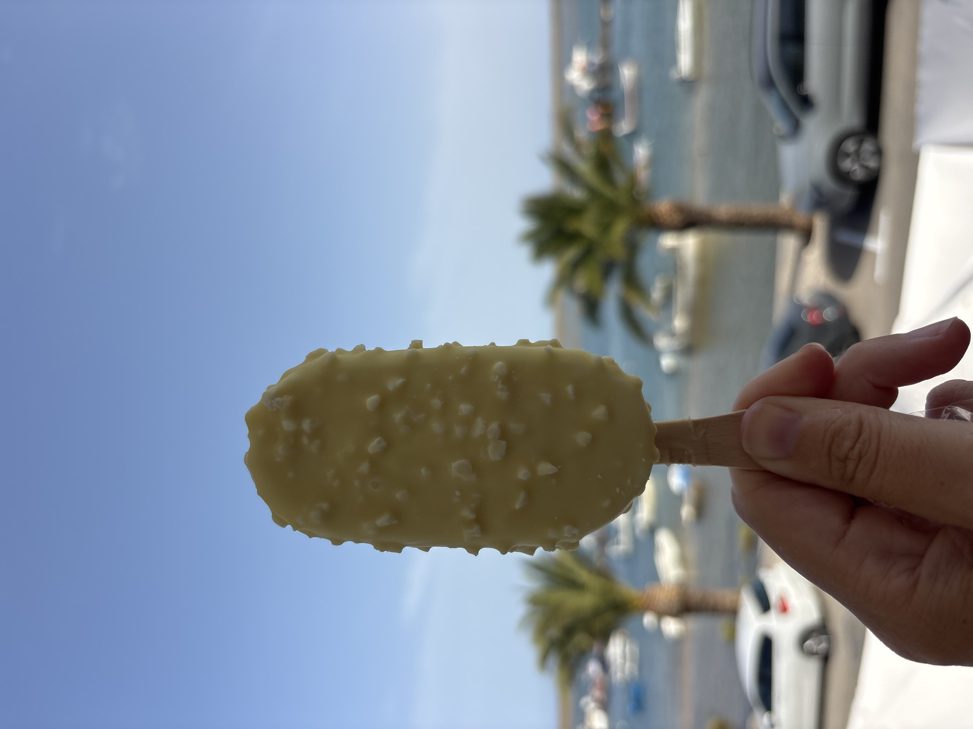 Food, live music, and summer vibes in Tavira