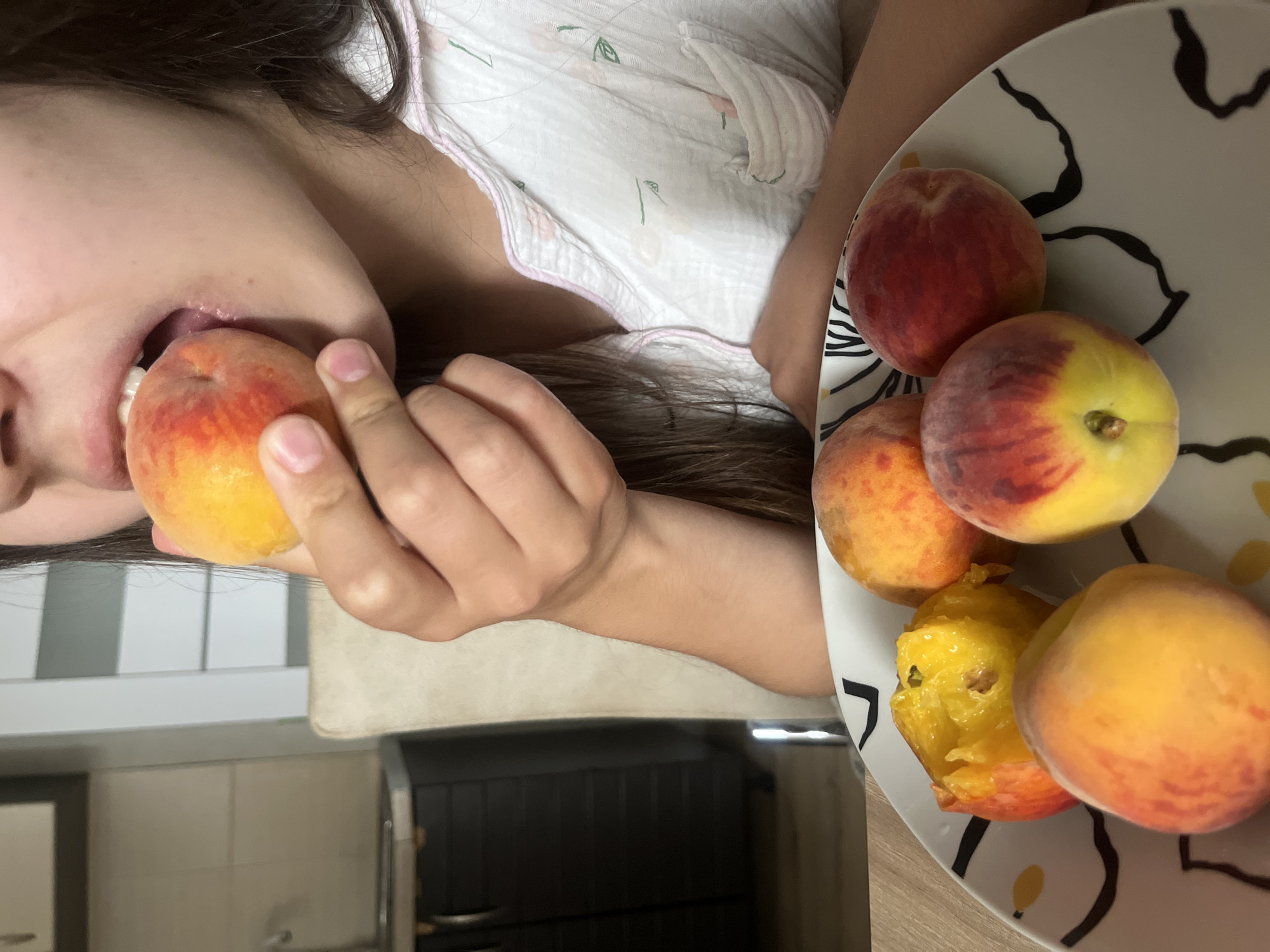 Slow domestic morning in Rybnitsa with a chinchilla and home details