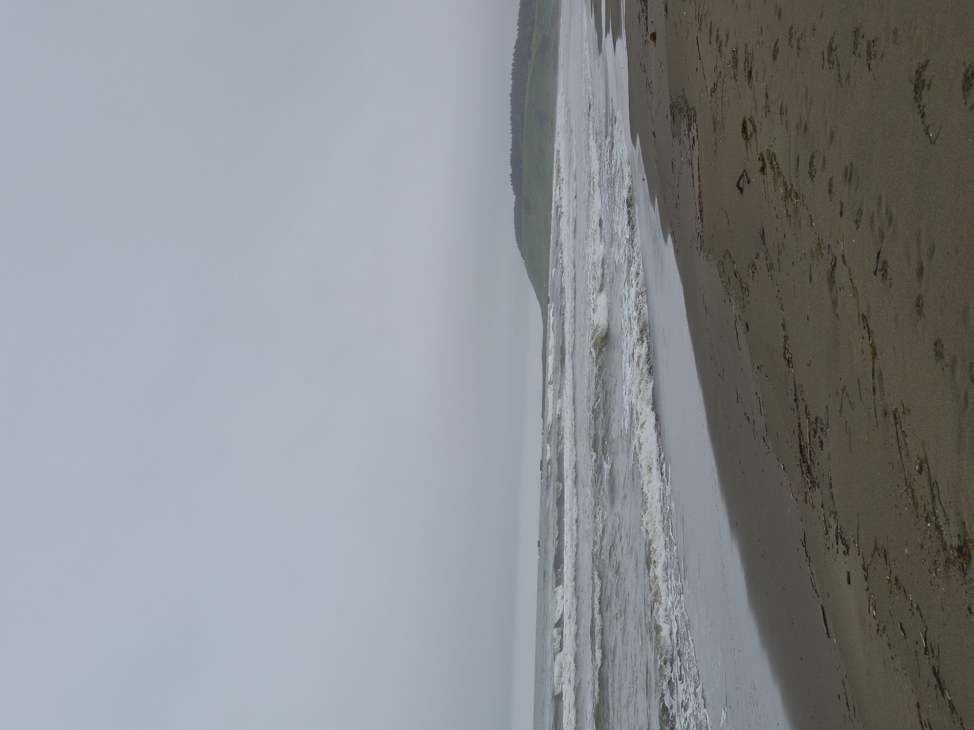 Driftwood-strewn beach in Uglegorsk under a grey June sky