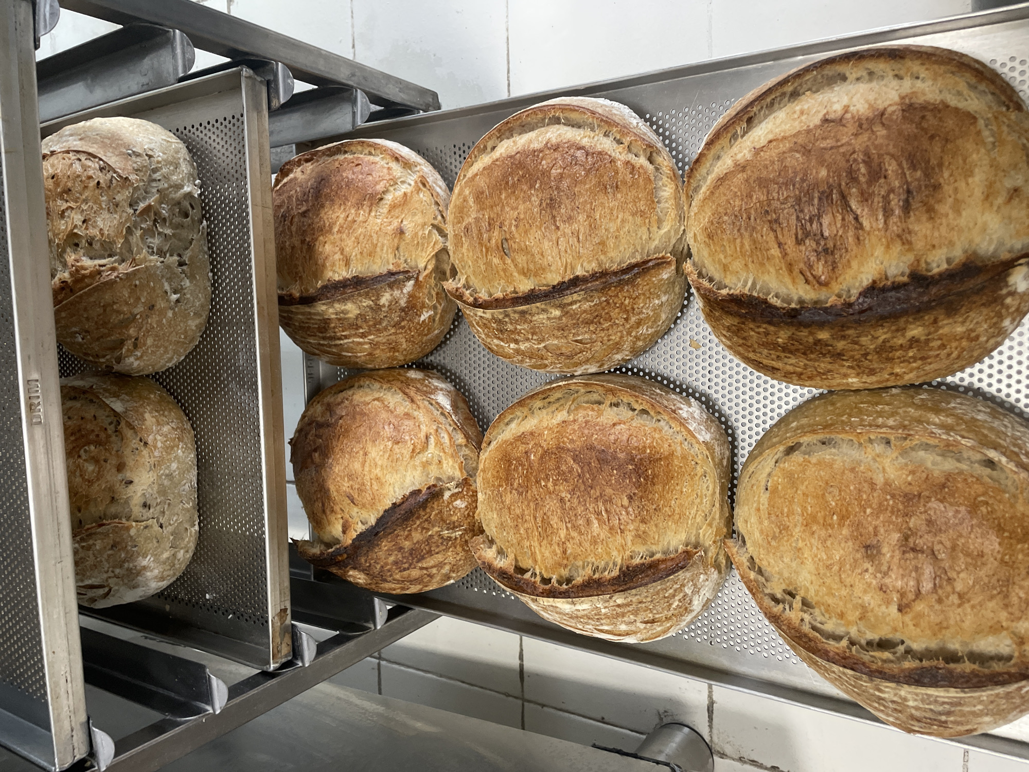Fresh bread displayed on rack in Belgrade bakery