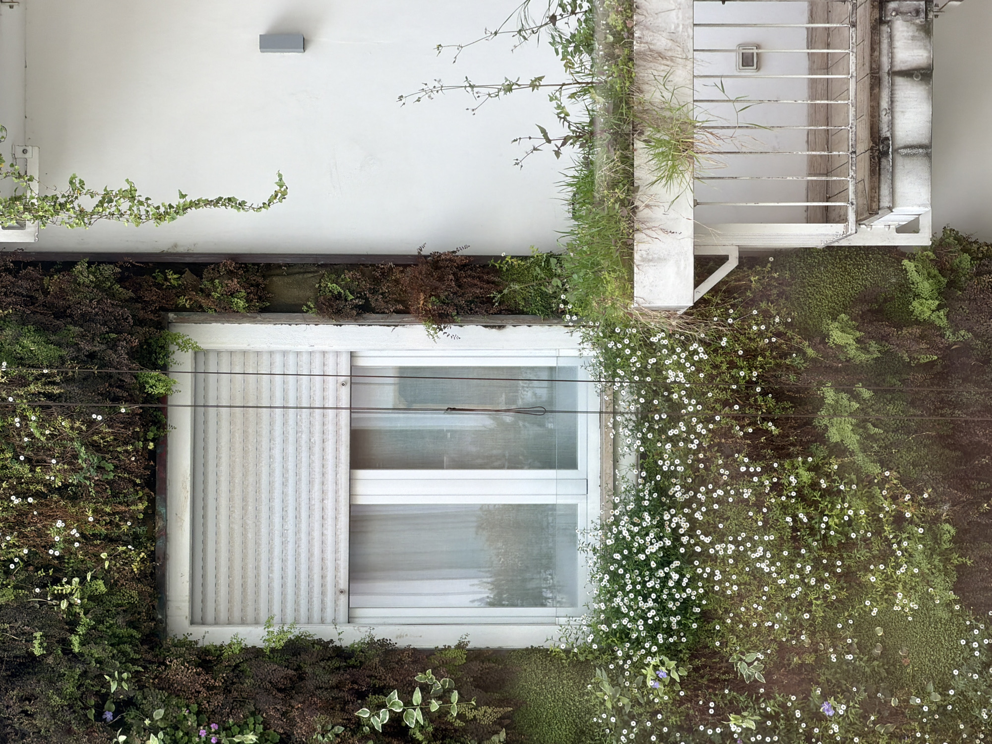 Milan building showcases vertical garden facade with green vegetation
