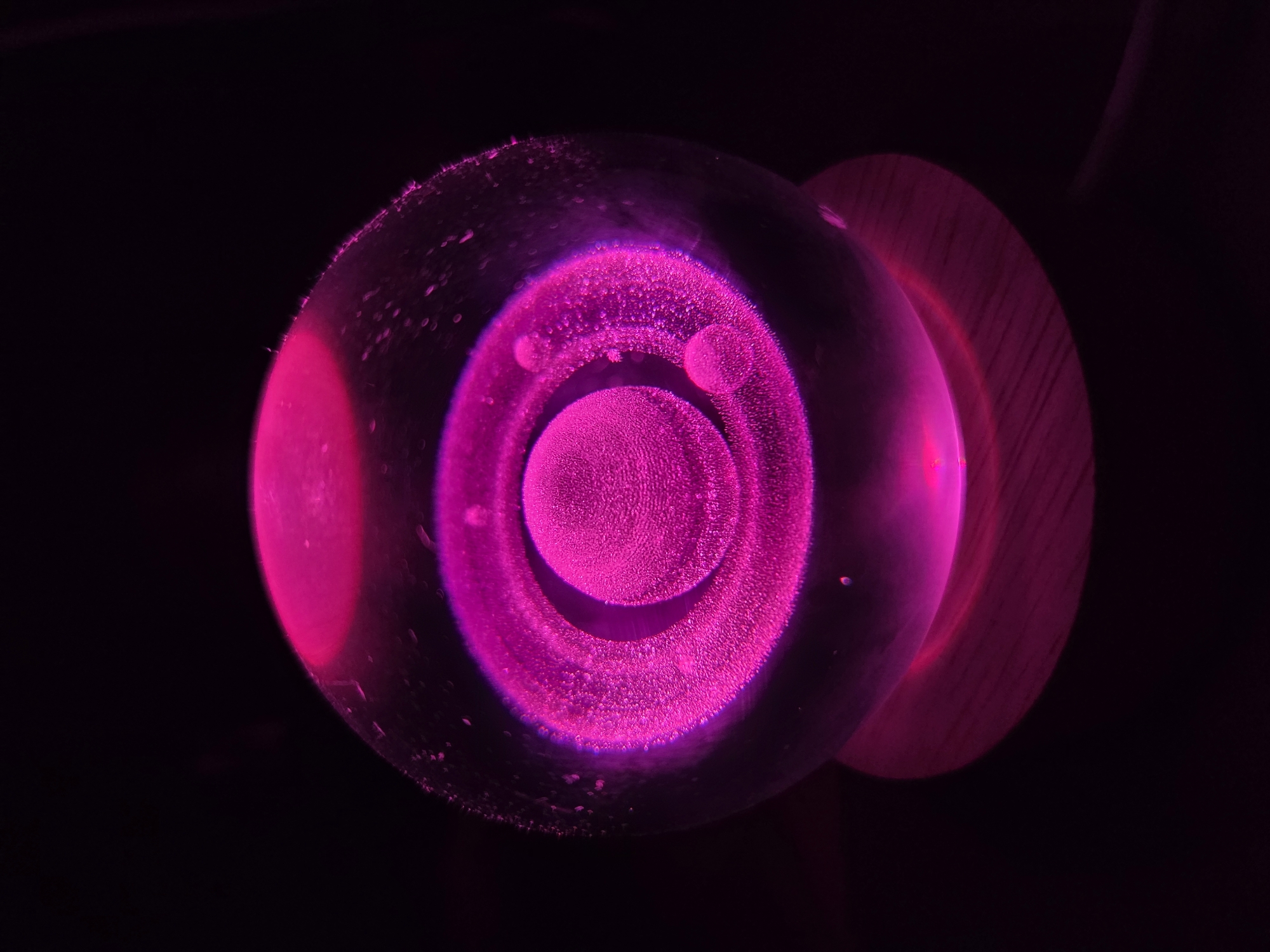 Evening documentation of illuminated Saturn model and pet dog