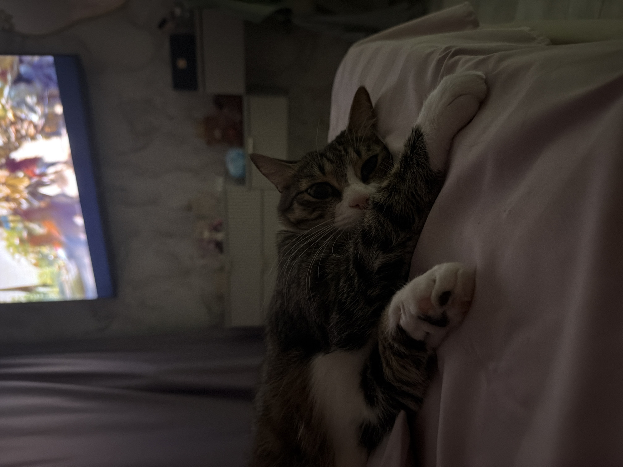 Lazy morning in at a Yuzhno-Sakhalinsk apartment