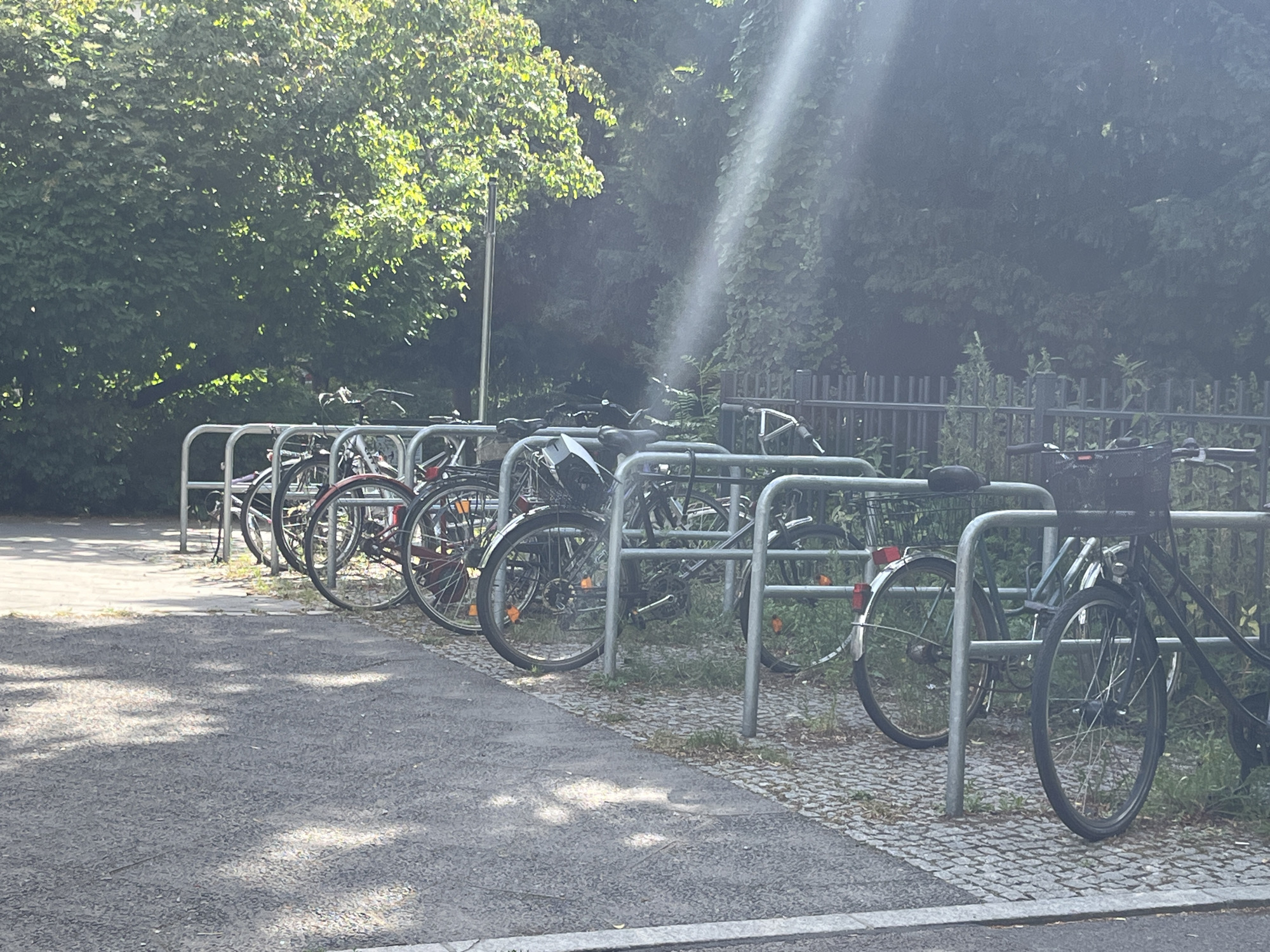 Berlin neighborhood walk featuring street art, bikes, and hanging shoes