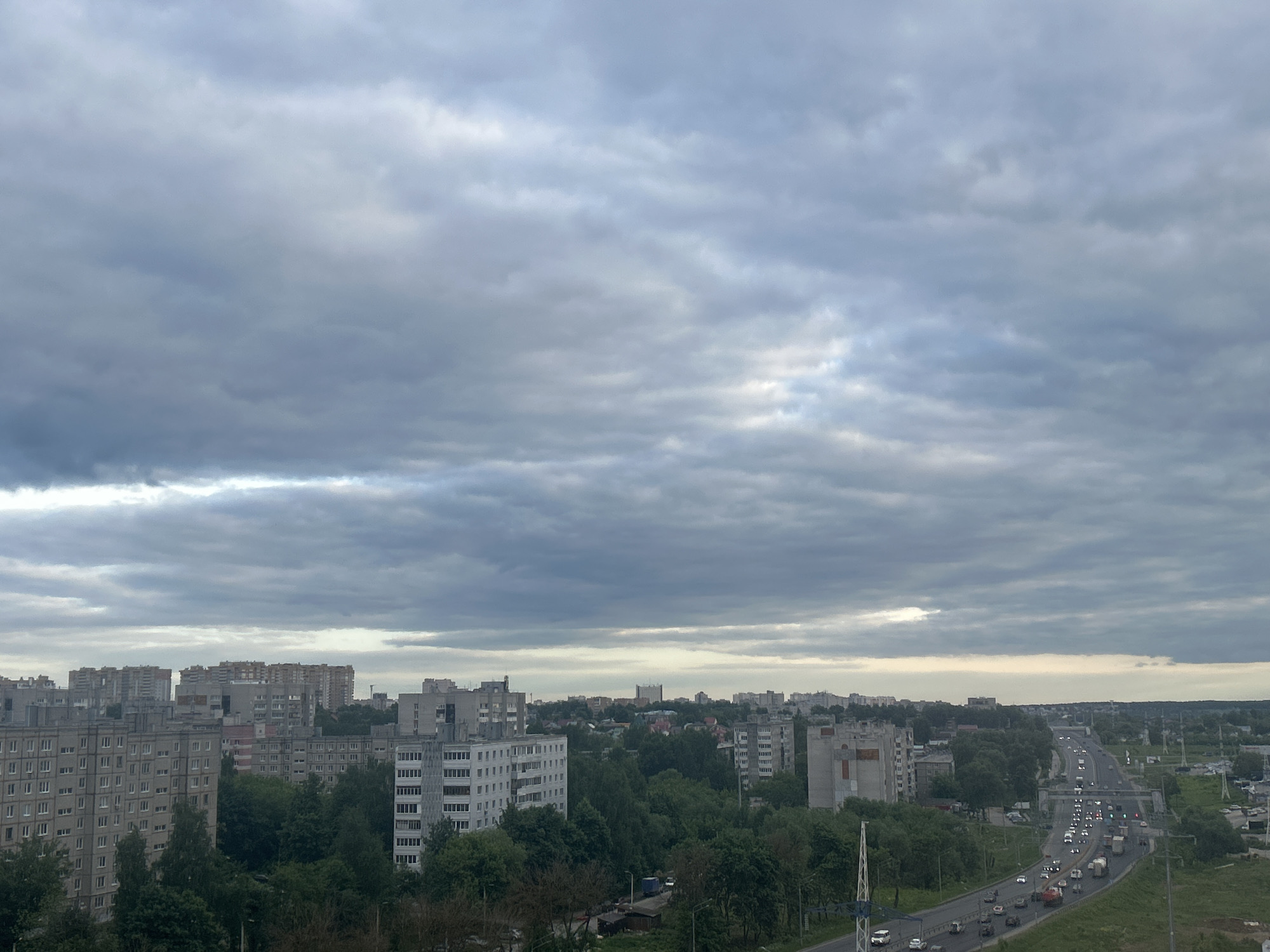 Overcast day, tabby cat spotted in urban setting