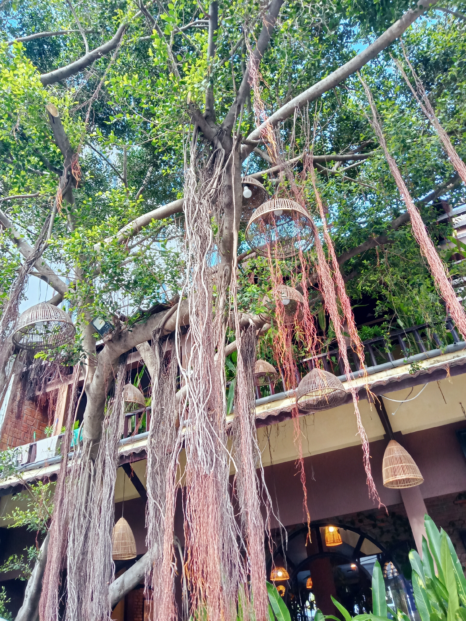Urban landmarks documented across Nha Trang Ward, Vietnam