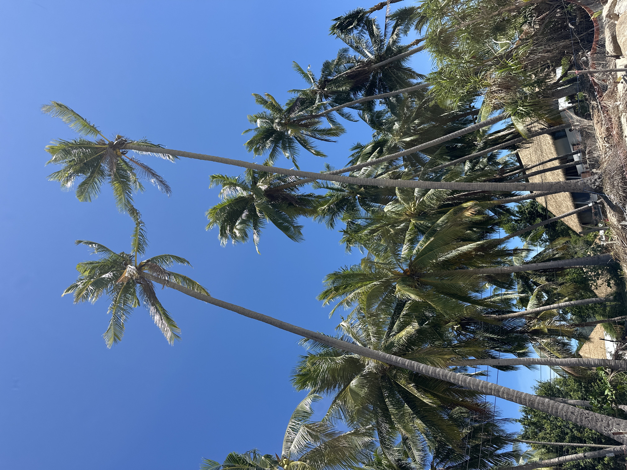 Relaxed beach setup on a sunny morning in Baan Tai