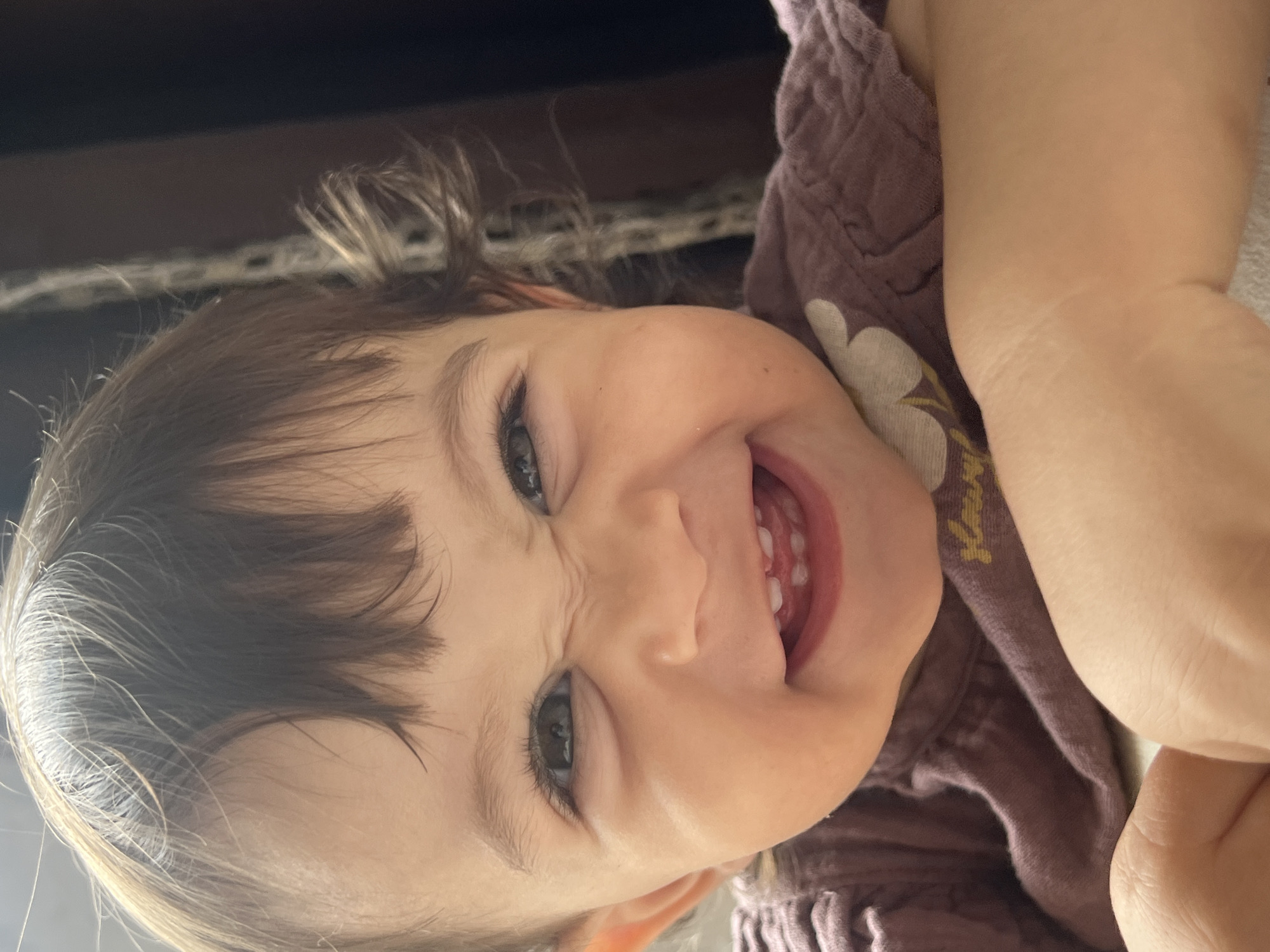Playful toddler moments at home in Elena, Bulgaria