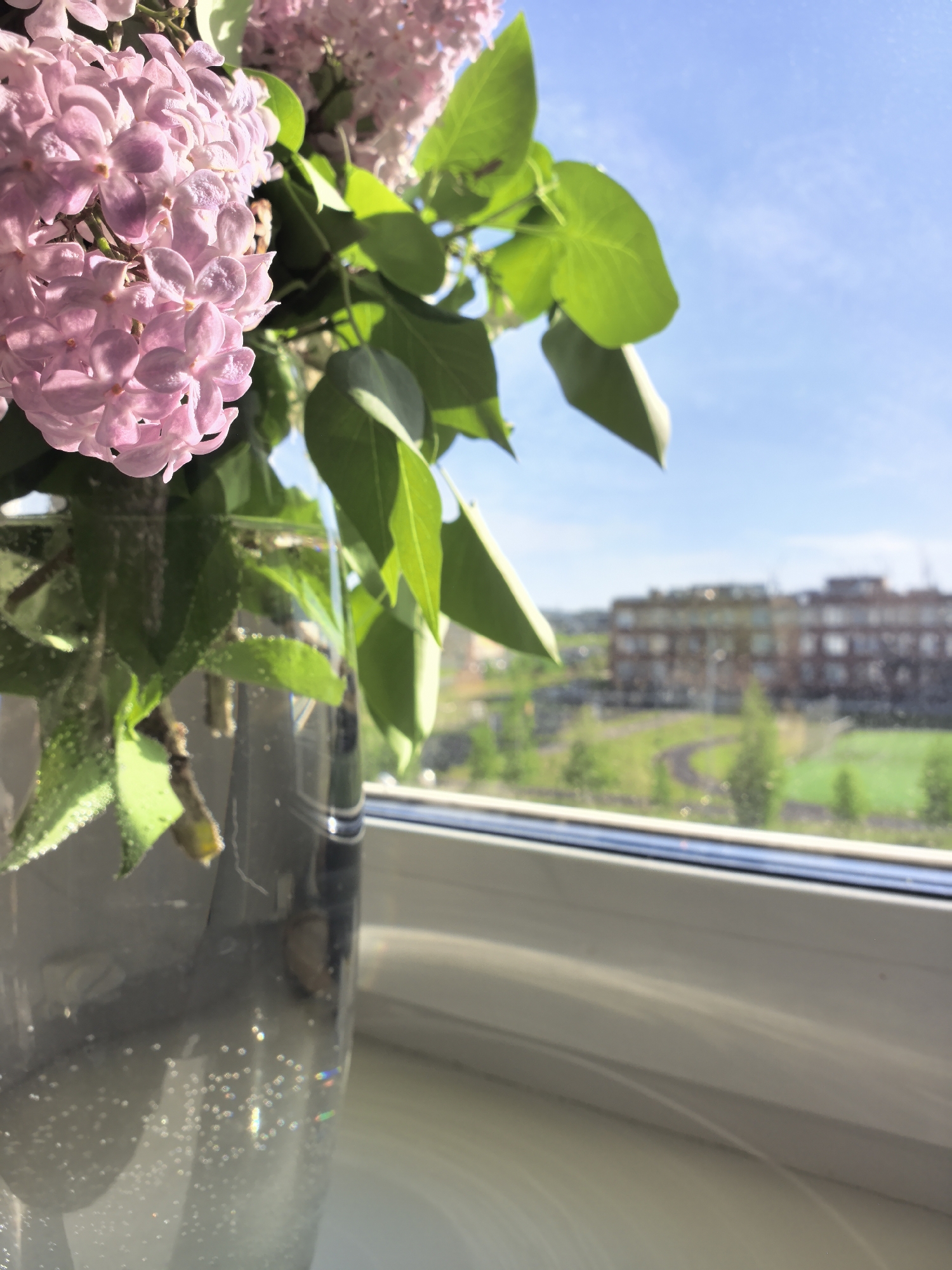Morning ritual: calendar page turned, lilacs observed in Froly