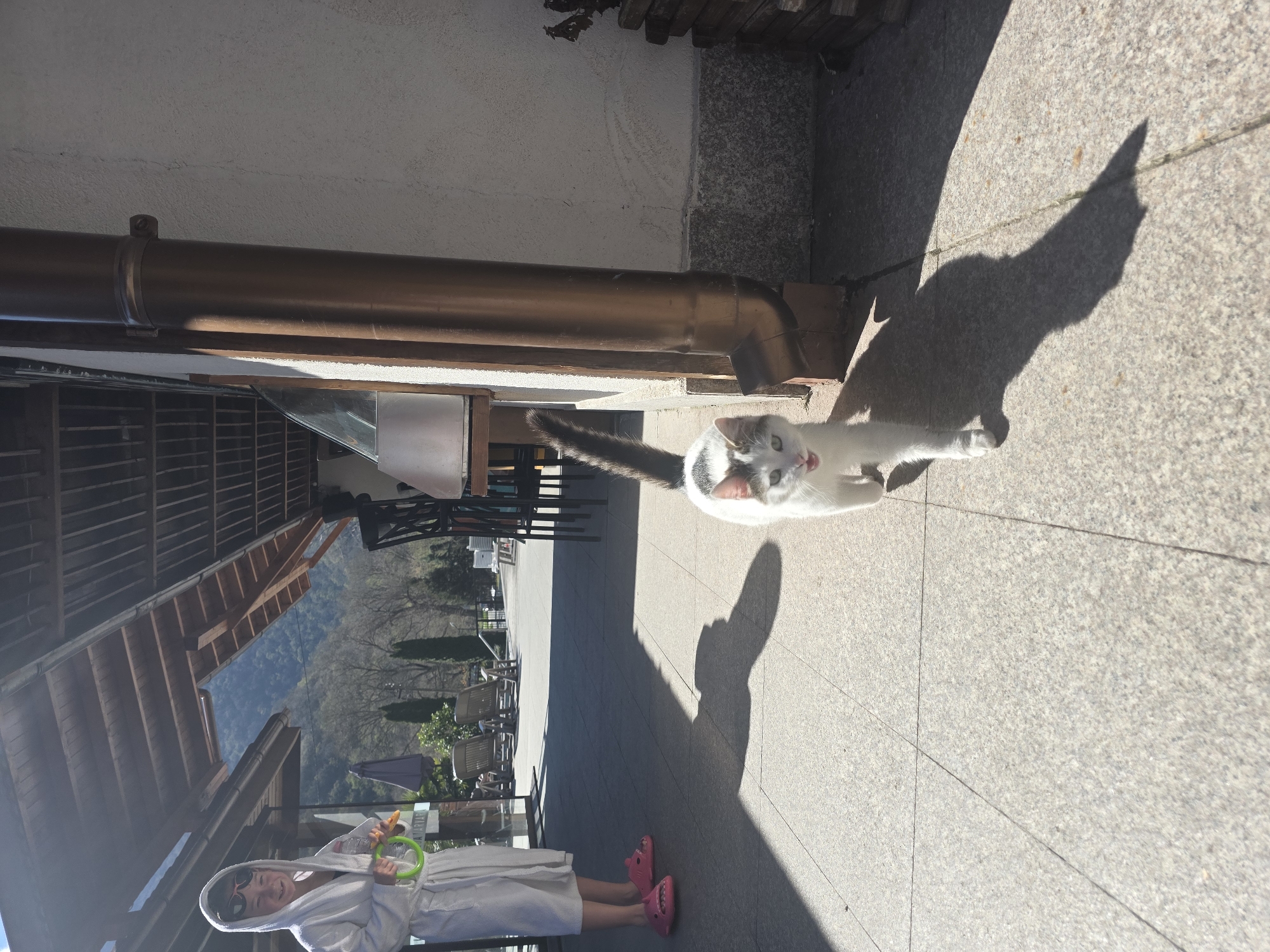 Morning scenes captured in Varvara: residential patio, local cafe