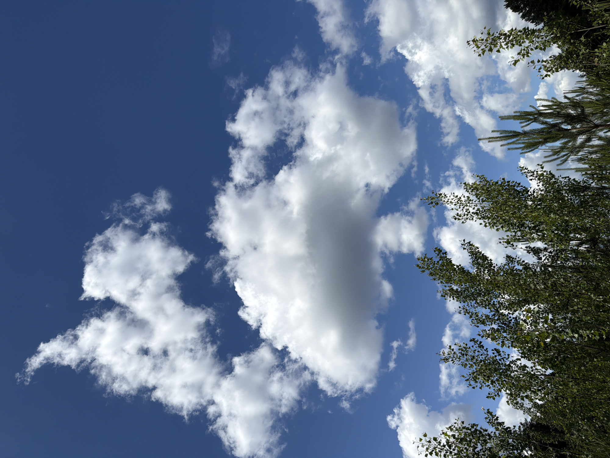 Clear sunny weather observed across Prikamskiy, Russia