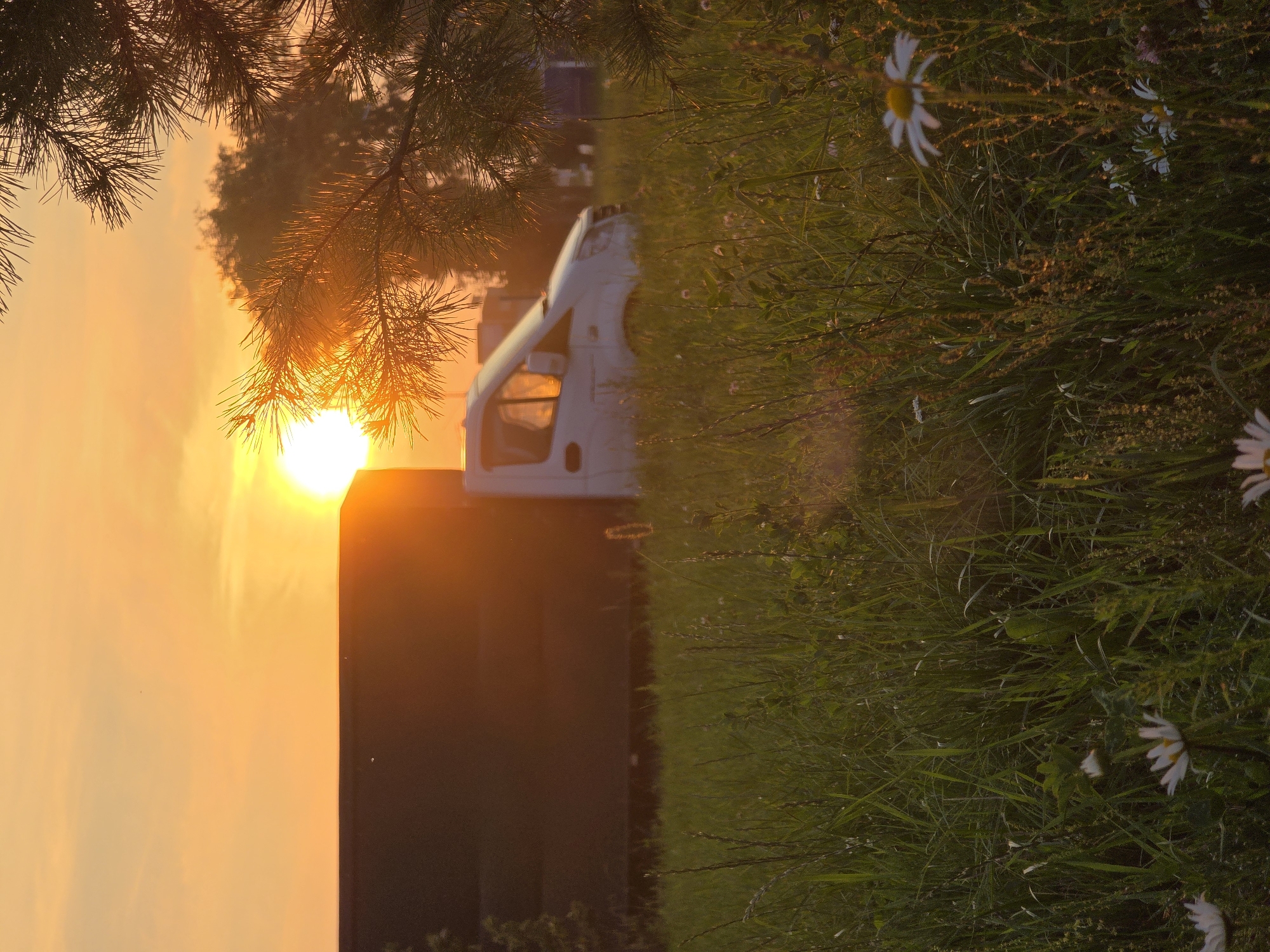 Summer sunset in Chaikovsky: nature details and an evening stroll