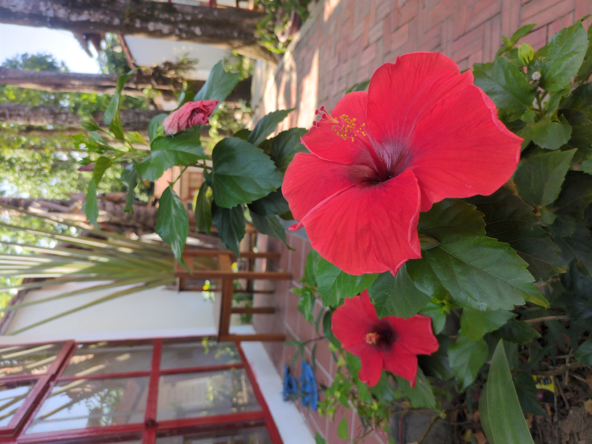 Early morning moments documented at Phú Quốc resort area