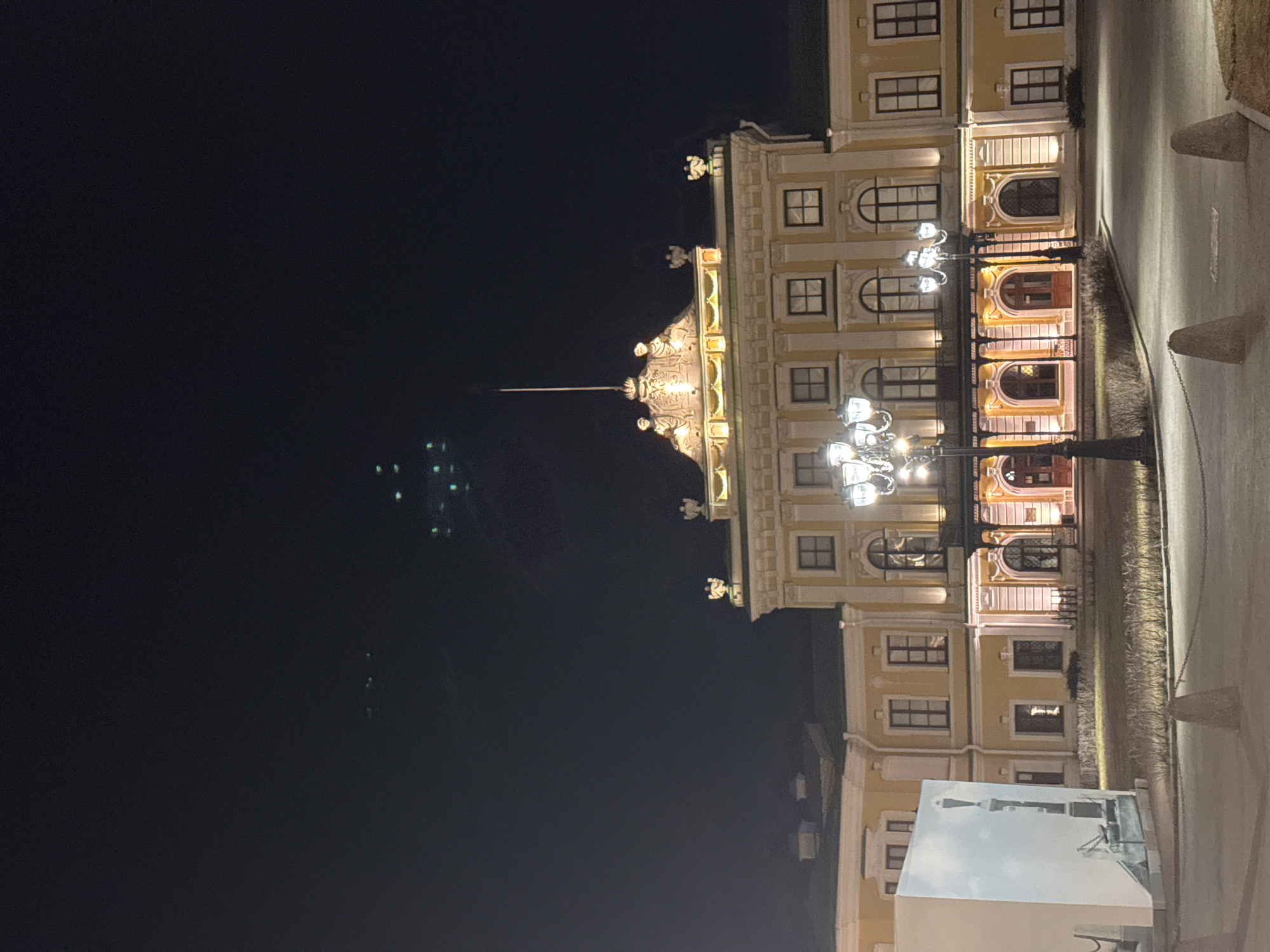 Night selfie at illuminated Imperial Palace in Tver