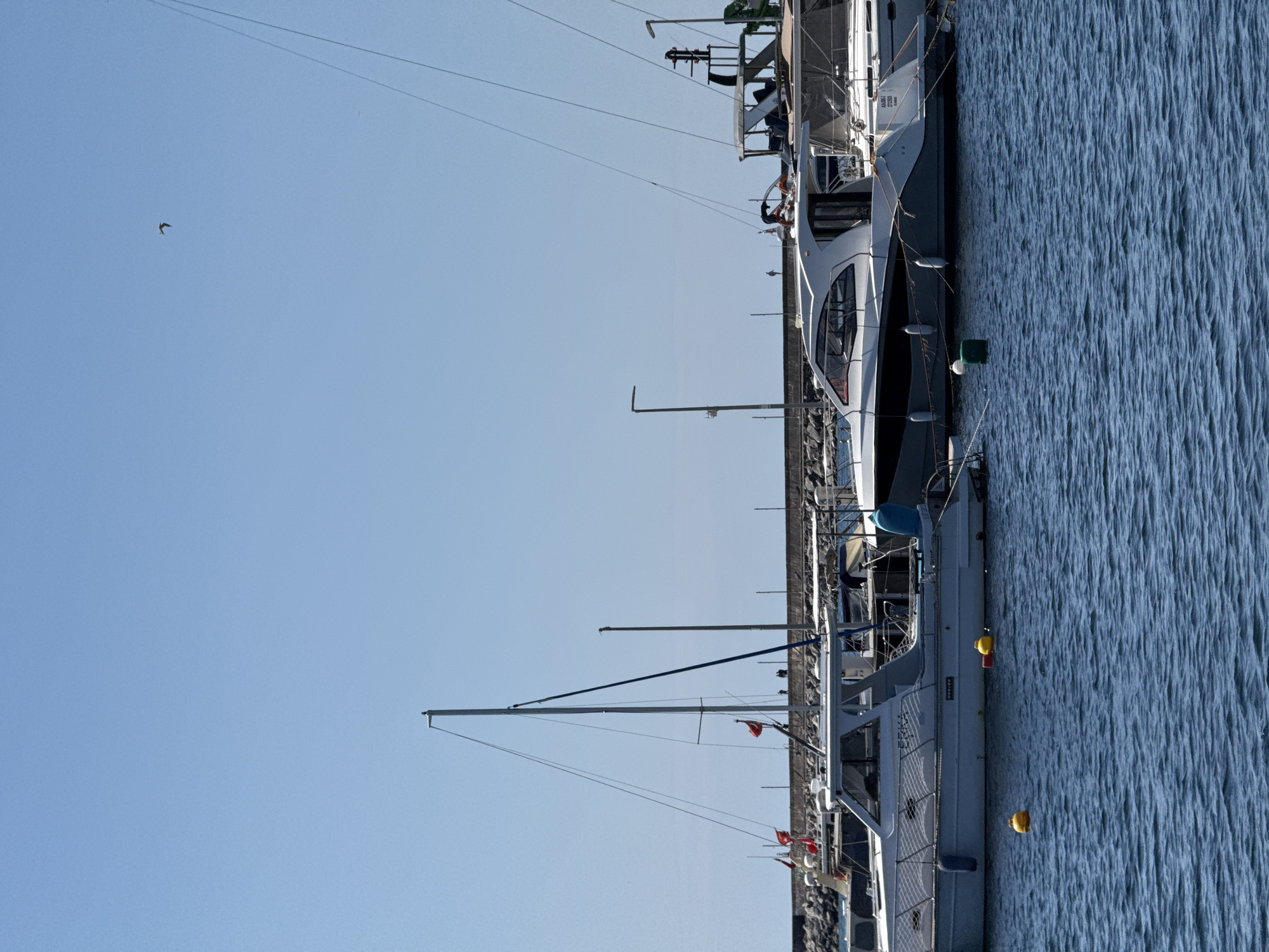 Şile harbor on a calm, clear summer day