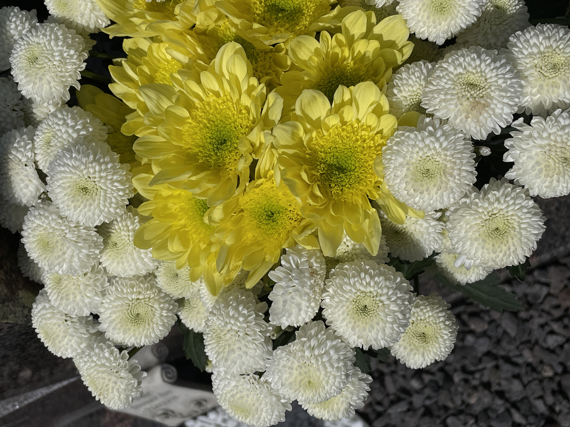 Garden scenes captured: chrysanthemums, beehives, resting angel statue