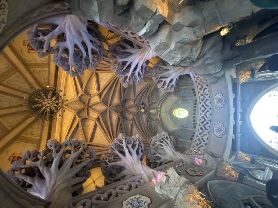 Visitors document afternoon at Disneyland Paris attractions and character meetings