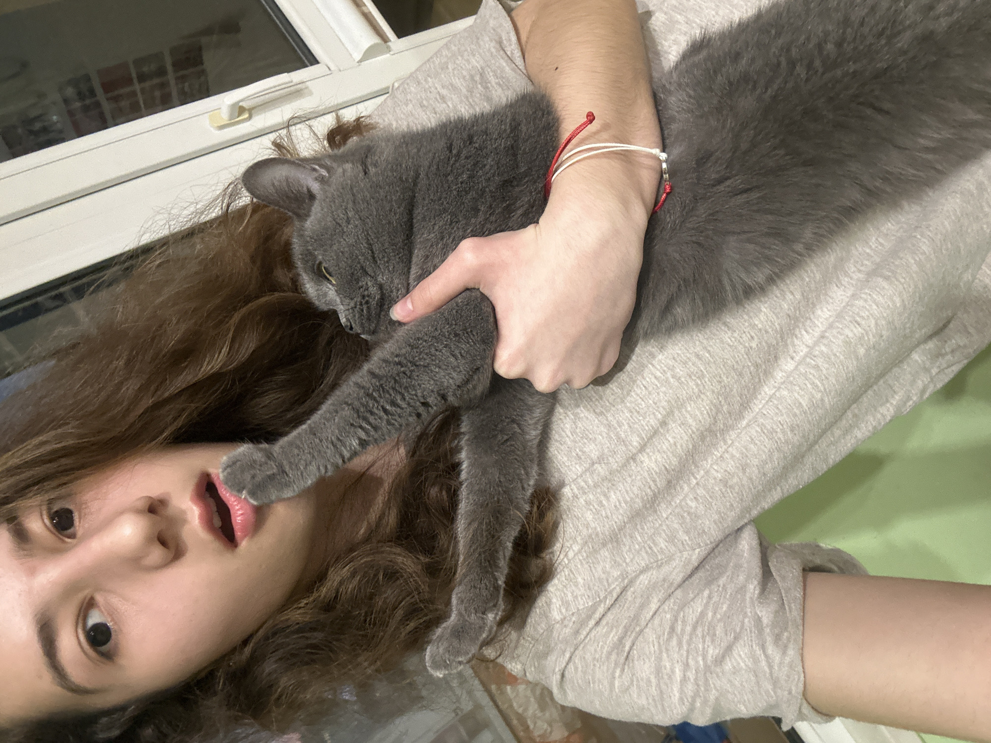 Easter afternoon with gray cat in Ruse, Bulgaria