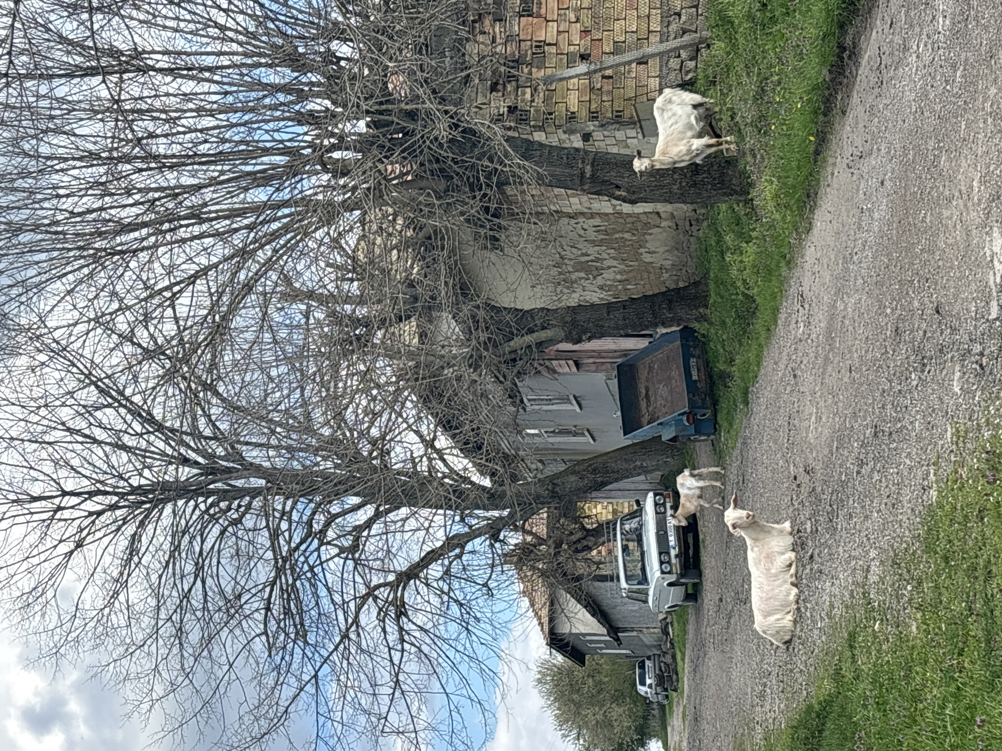 Farm machinery spotted in rural Bulgarian village of Presian