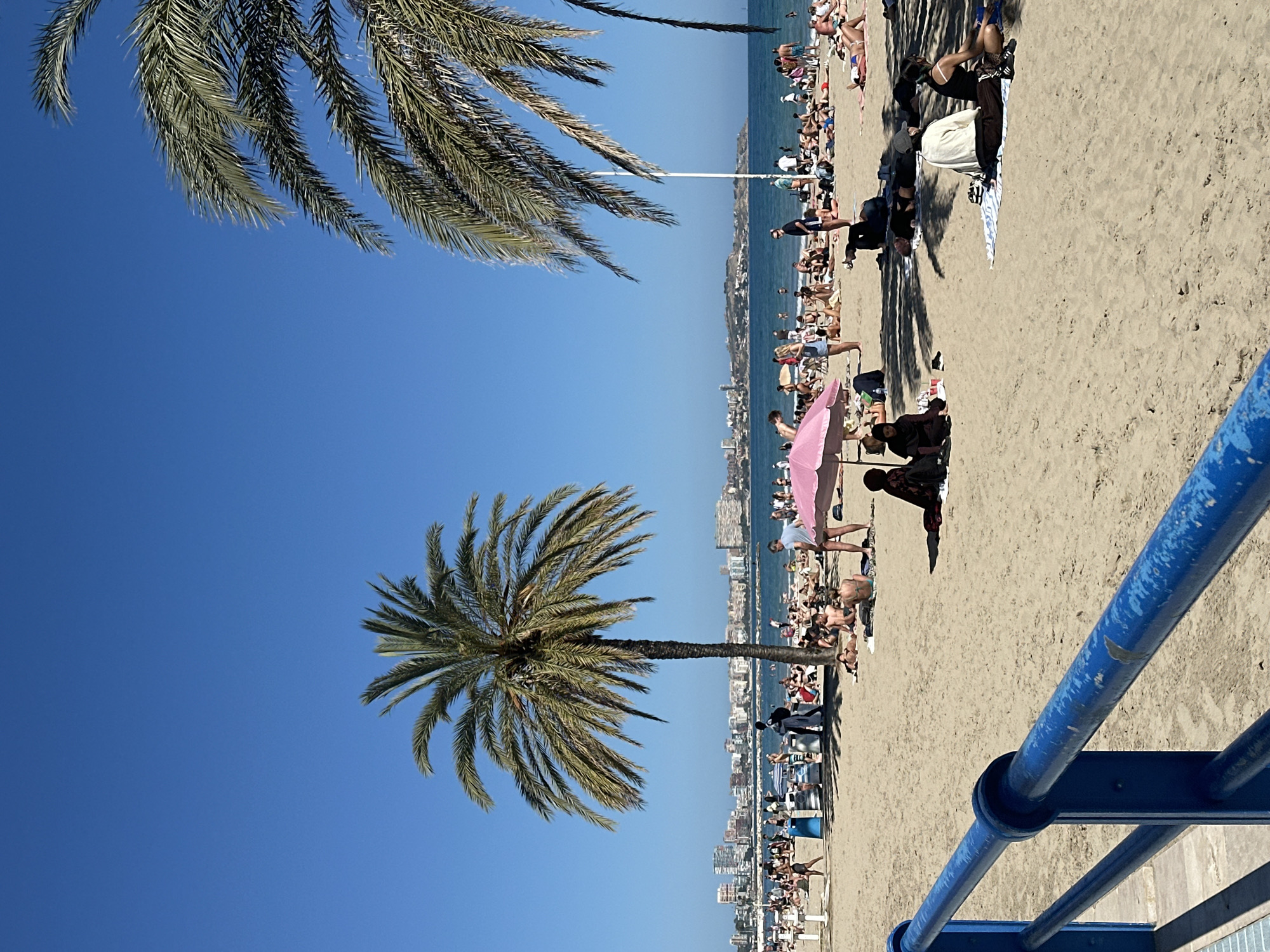 Busy beach day in Alicante features sunbathing and parasailing