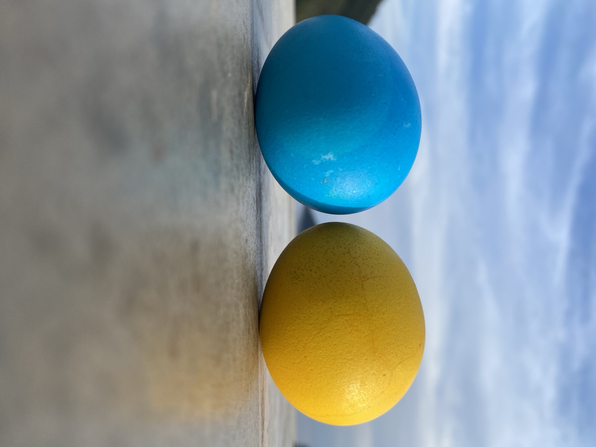 Painted eggs spotted on concrete surface in Budva