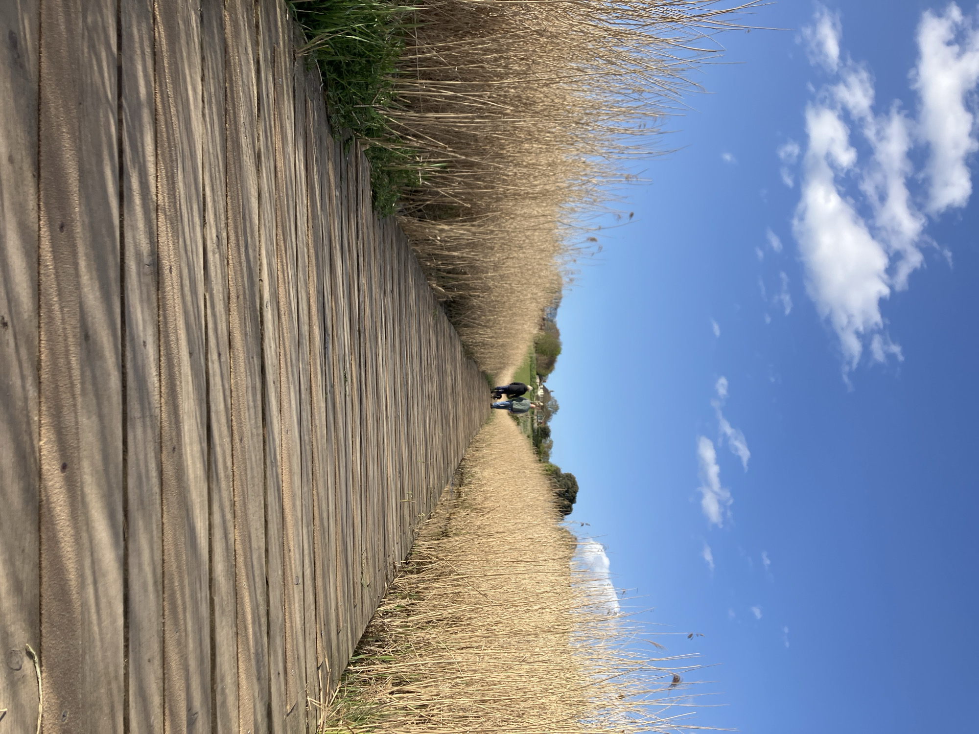Rural East Suffolk landscapes documented during afternoon walk