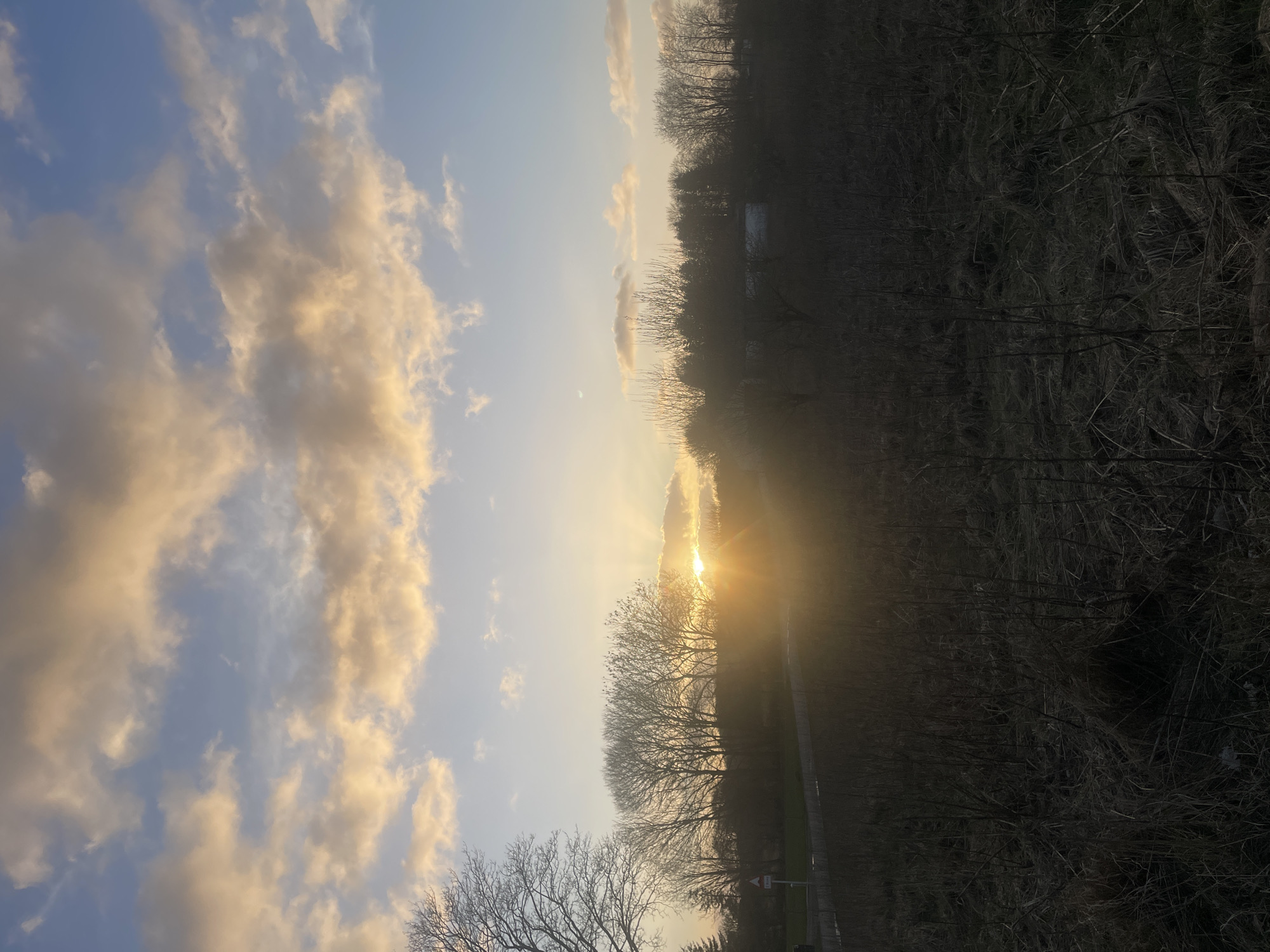 Sunset observed by multiple witnesses in Vejle, Denmark