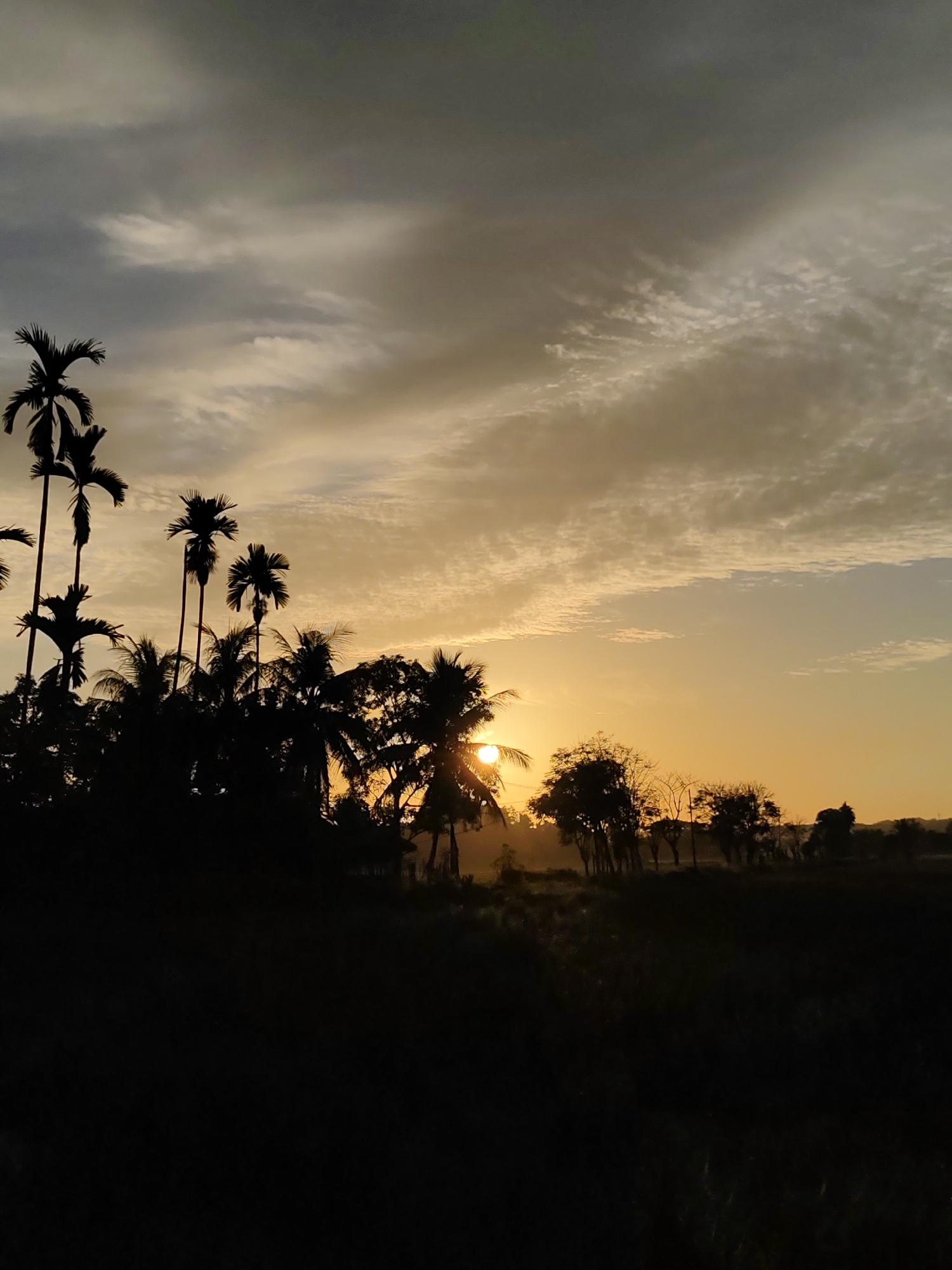 Rural sunrise scenes documented in Meunasahalue rice fields