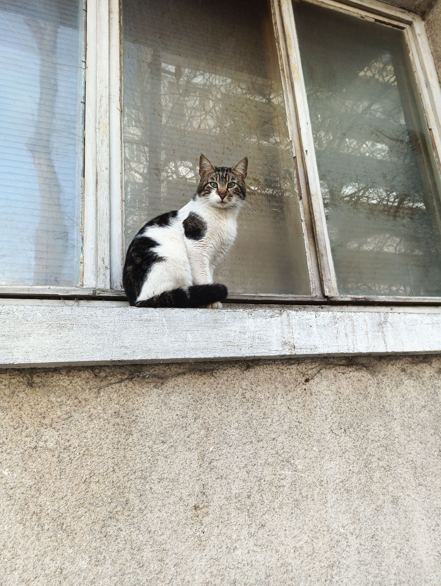 Morning street scenes documented across residential Burgas, Bulgaria