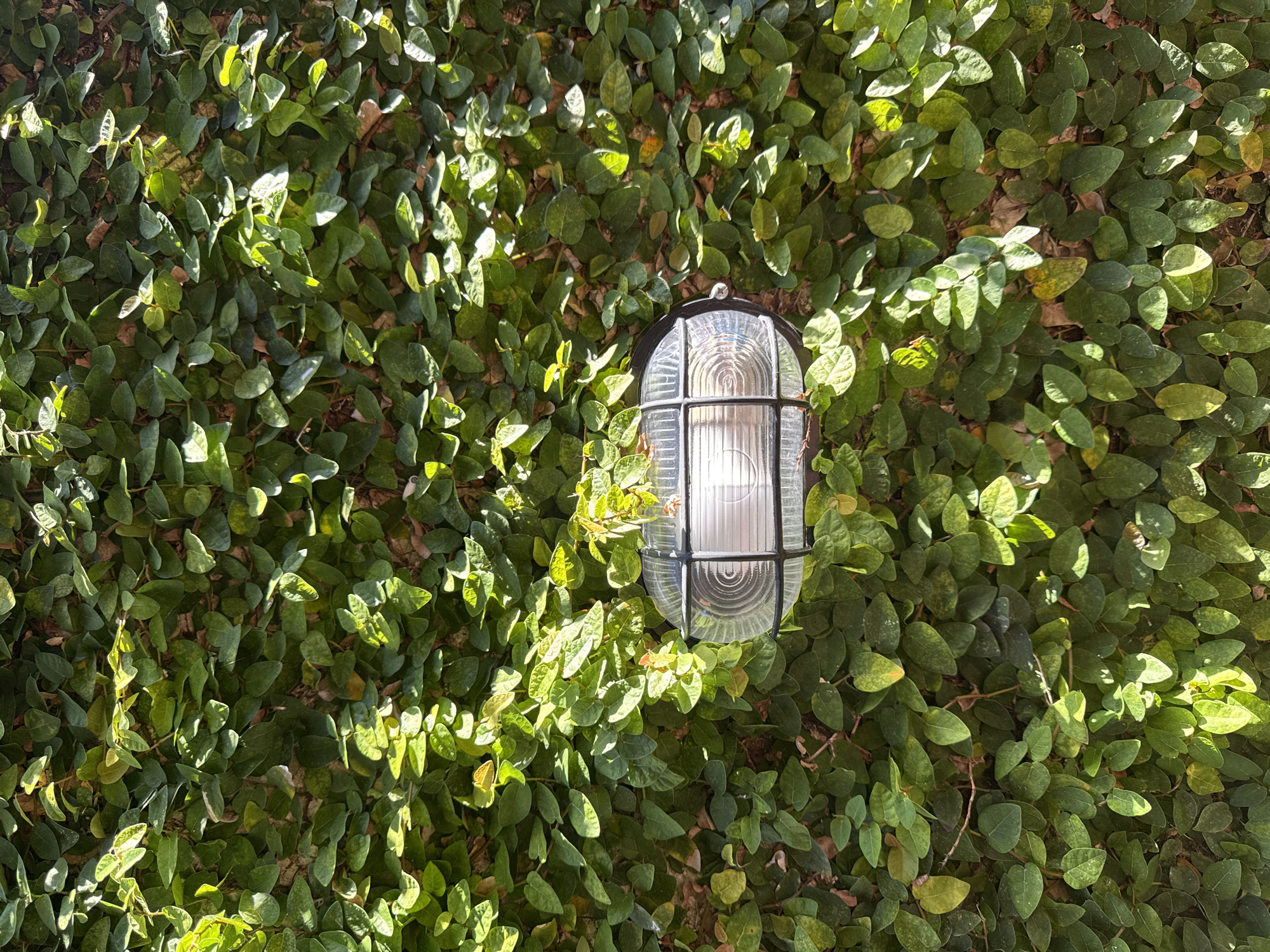Mixed urban scenes documented in six-minute window