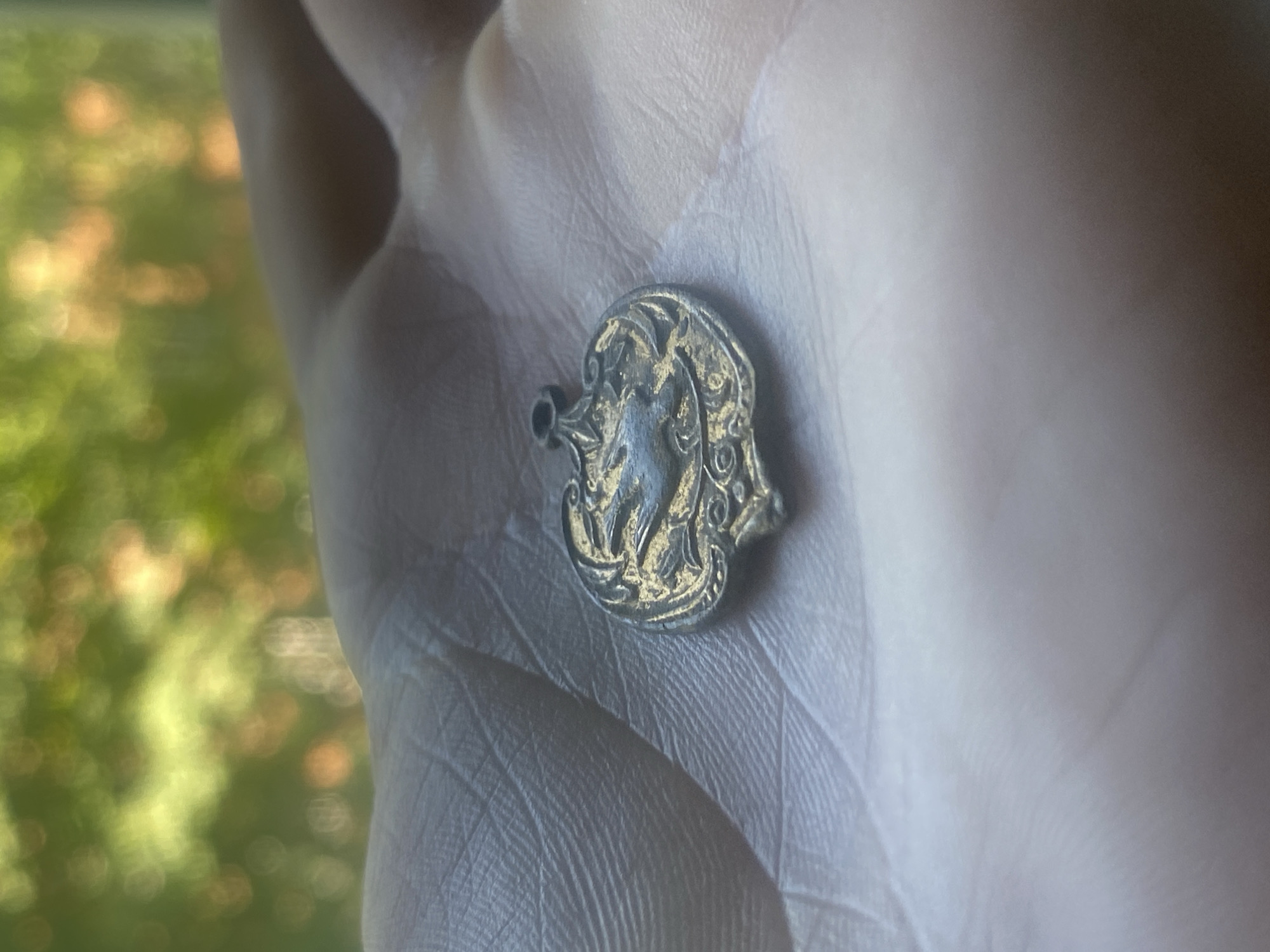 Coin collector examines historical artifacts across Poltava, Ukraine