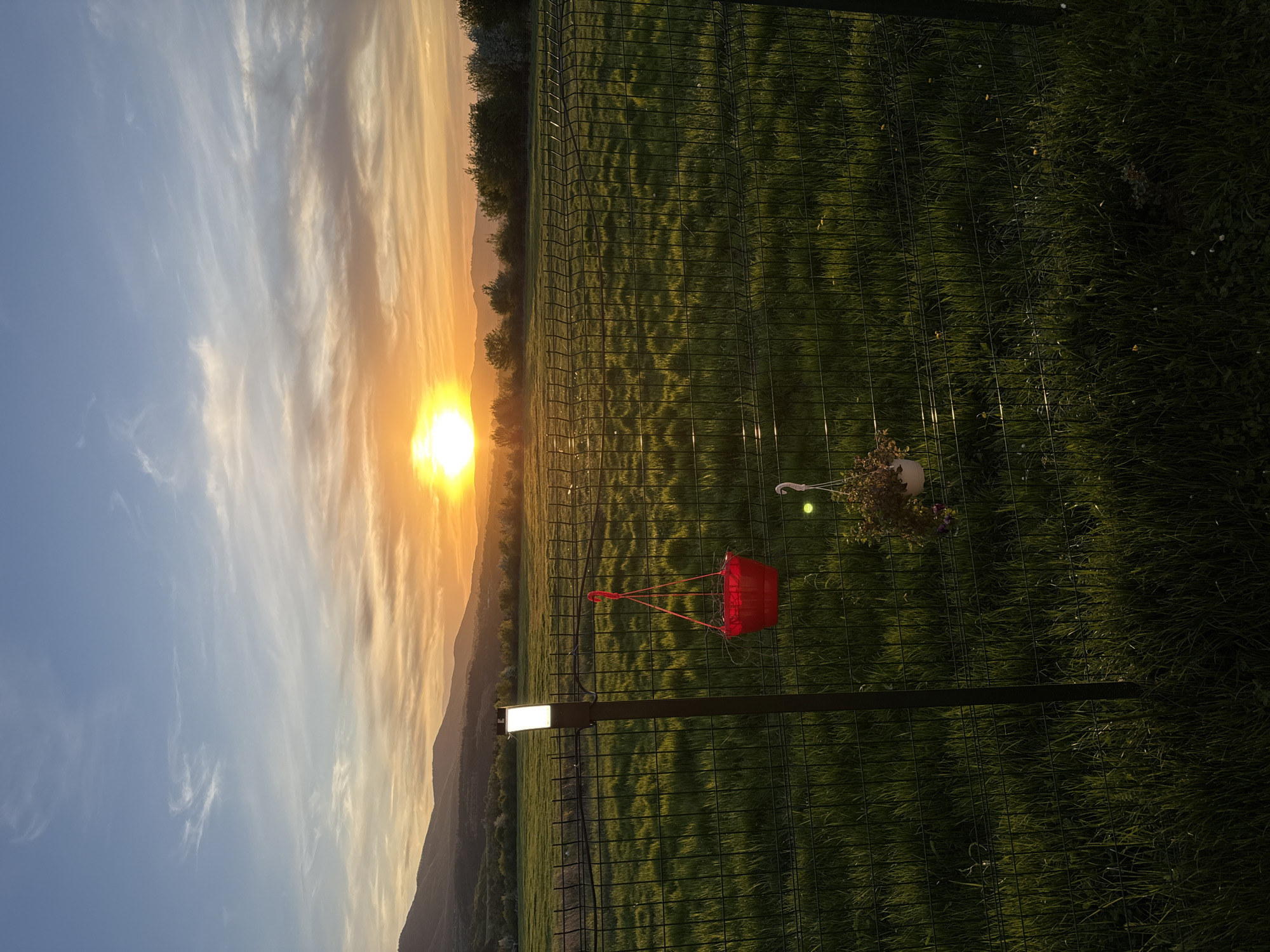 Sofia resident captures sunset and casual evening moment
